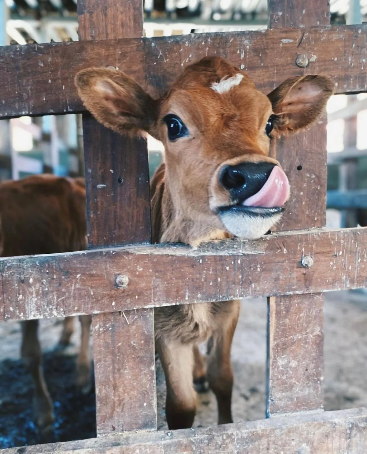 Activities in Hotel Belmar