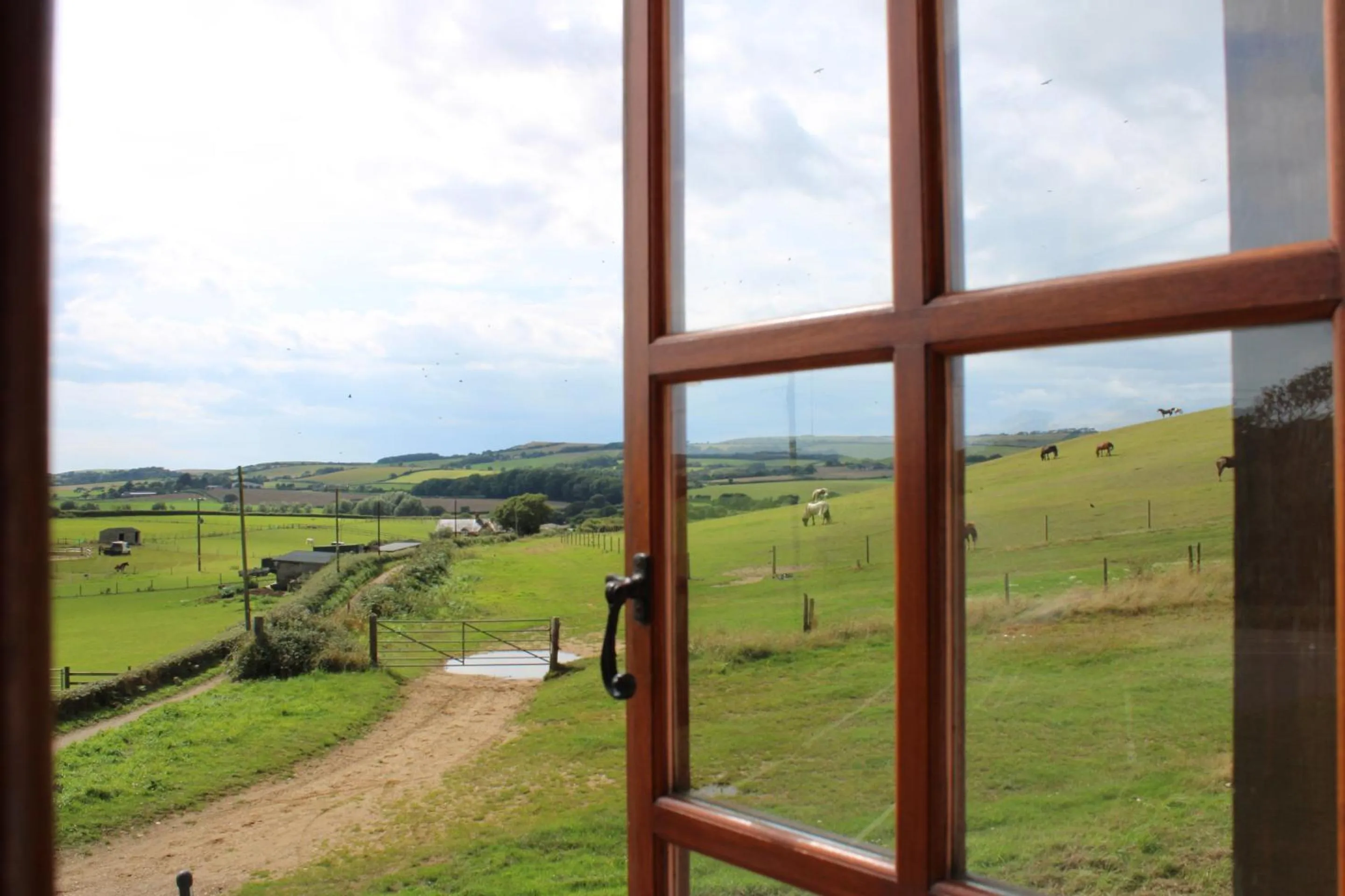 View (from property/room) in The Chequers Inn