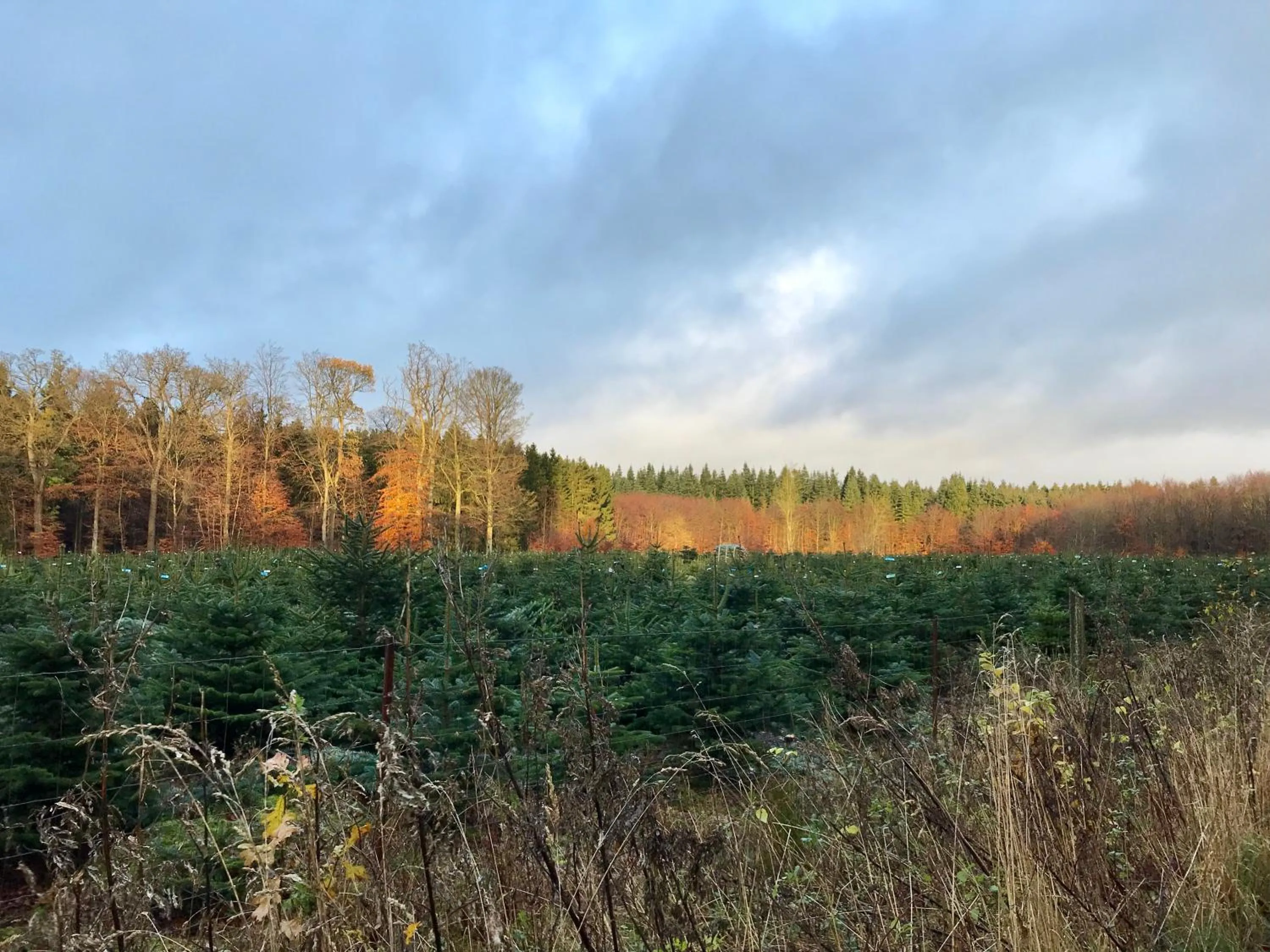Natural landscape in Vemmetofte Præstegård