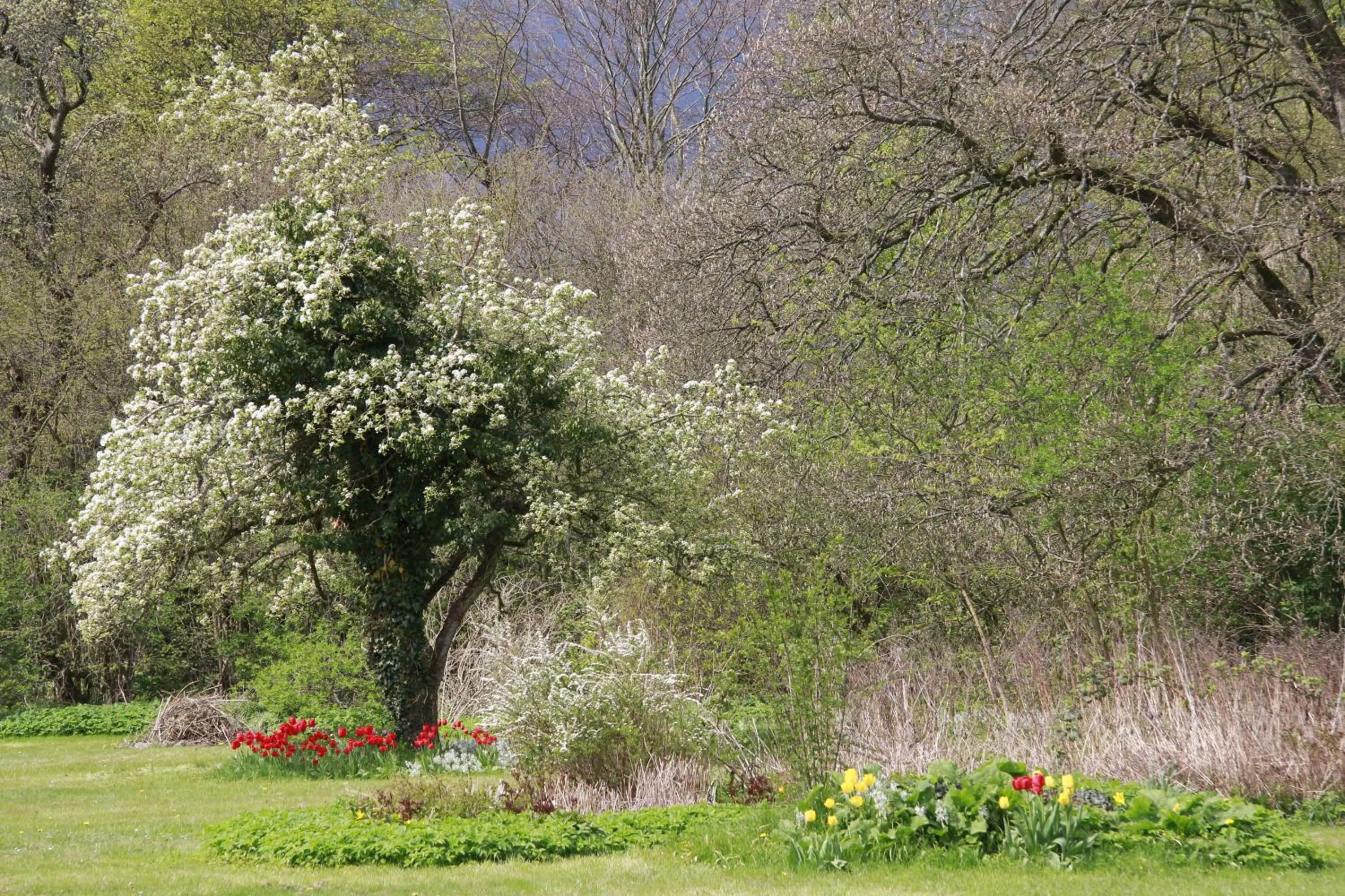 Natural landscape in Vemmetofte Præstegård
