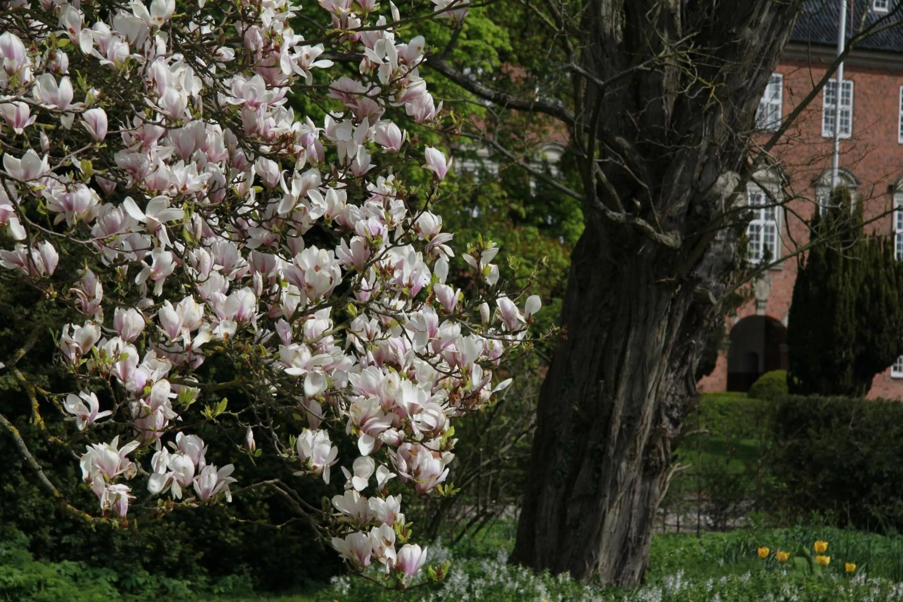 Nearby landmark in Vemmetofte Præstegård