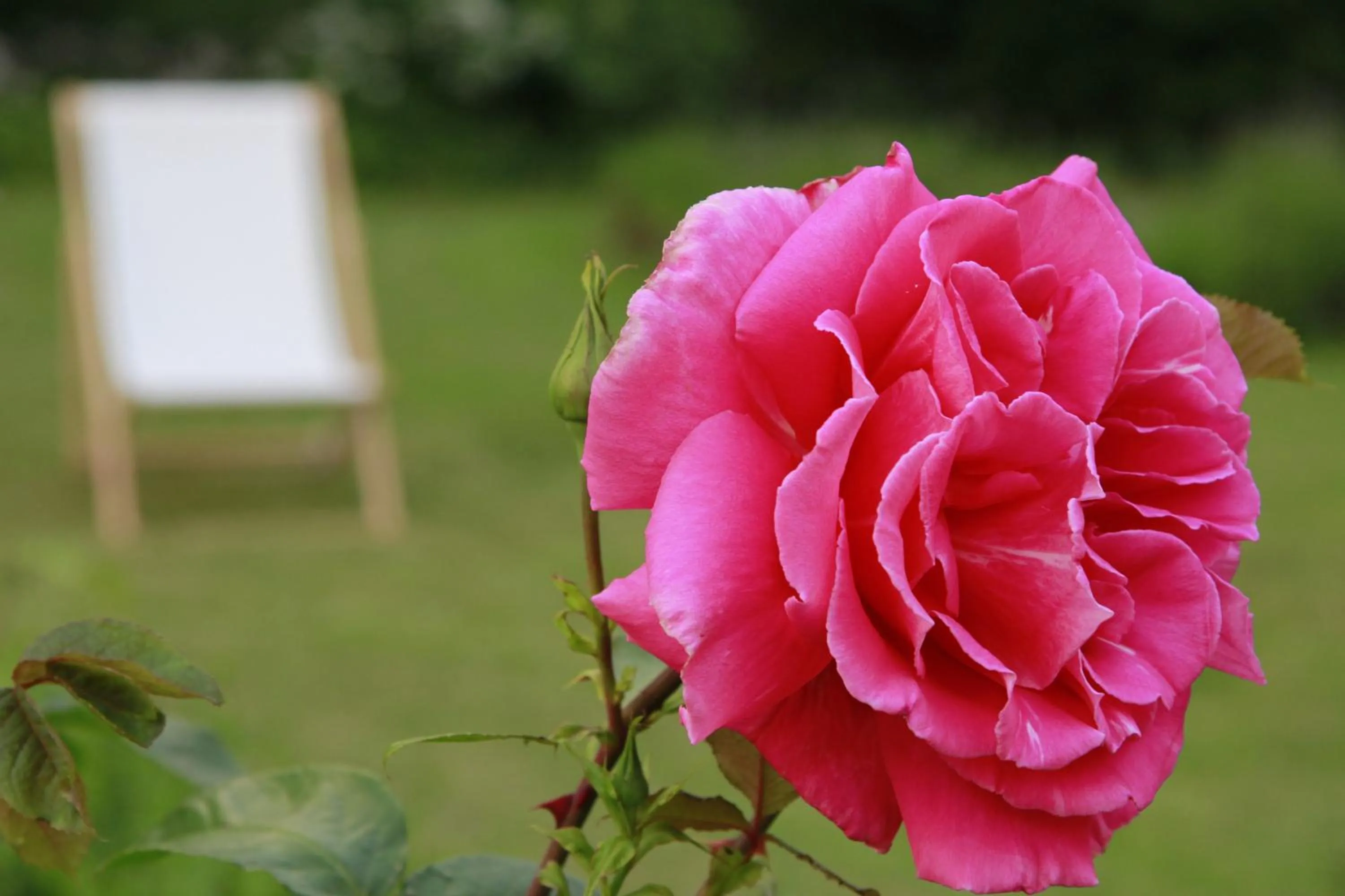 Garden in Vemmetofte Præstegård