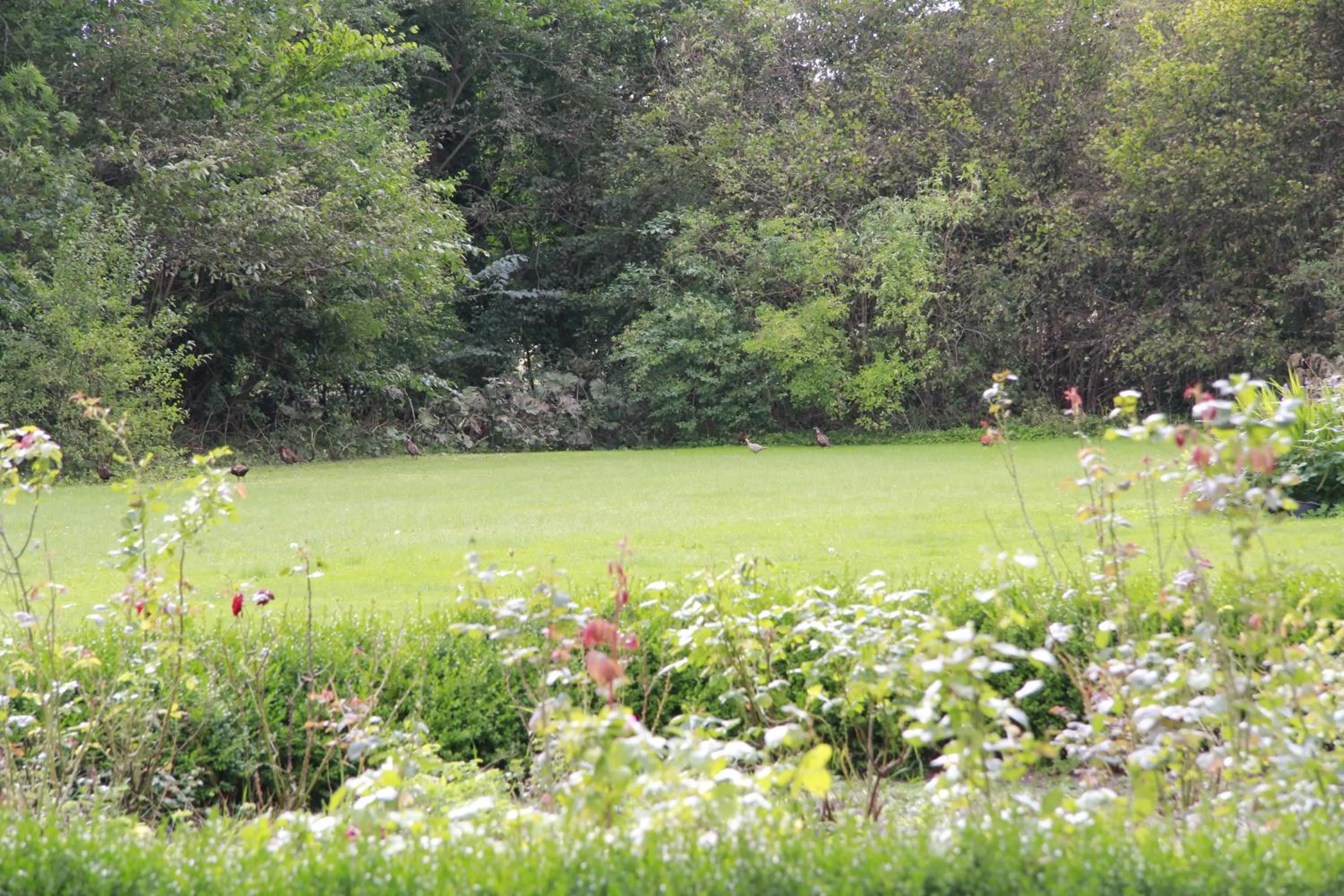 Garden in Vemmetofte Præstegård