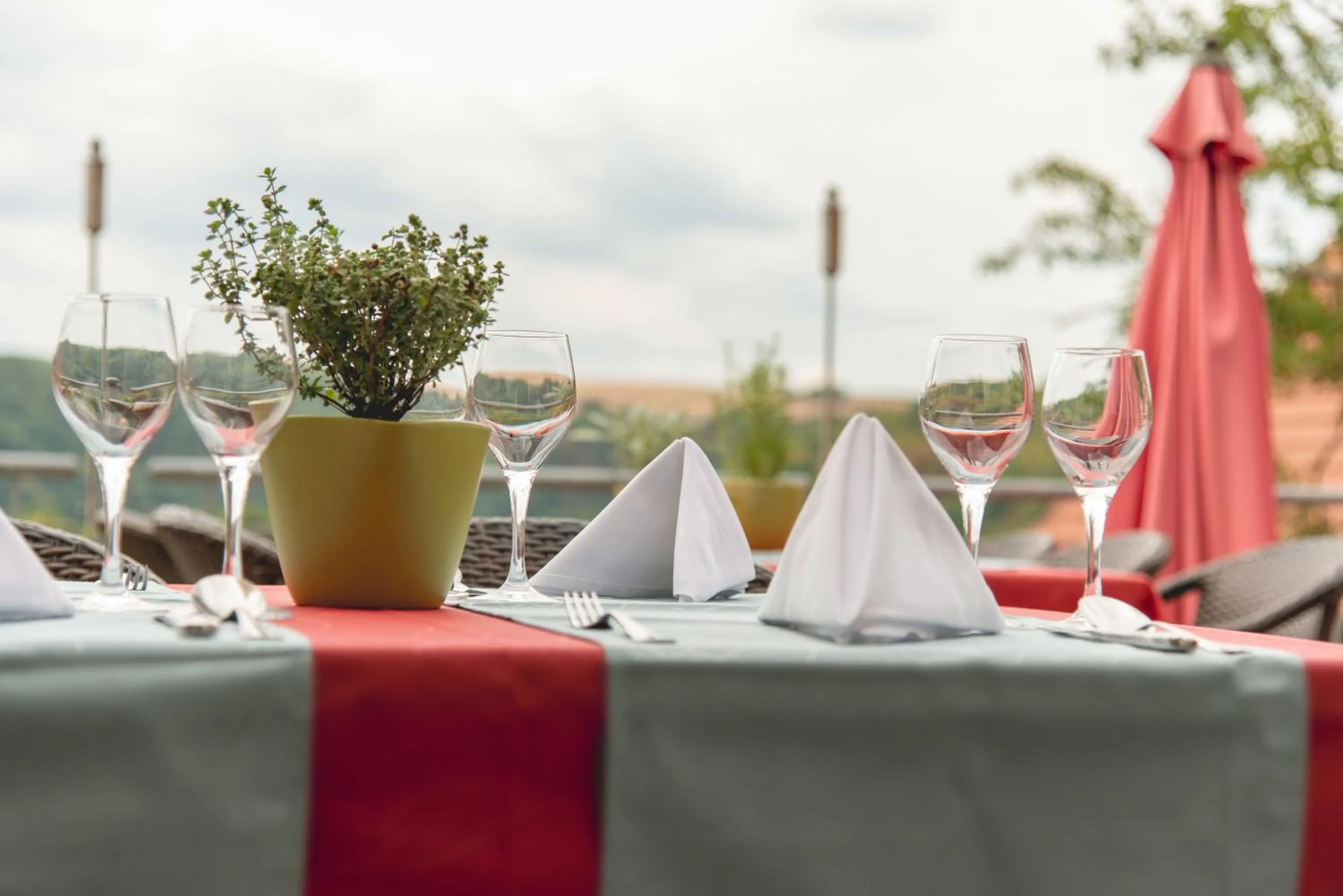 Natural landscape in Hotel Restaurant Martha