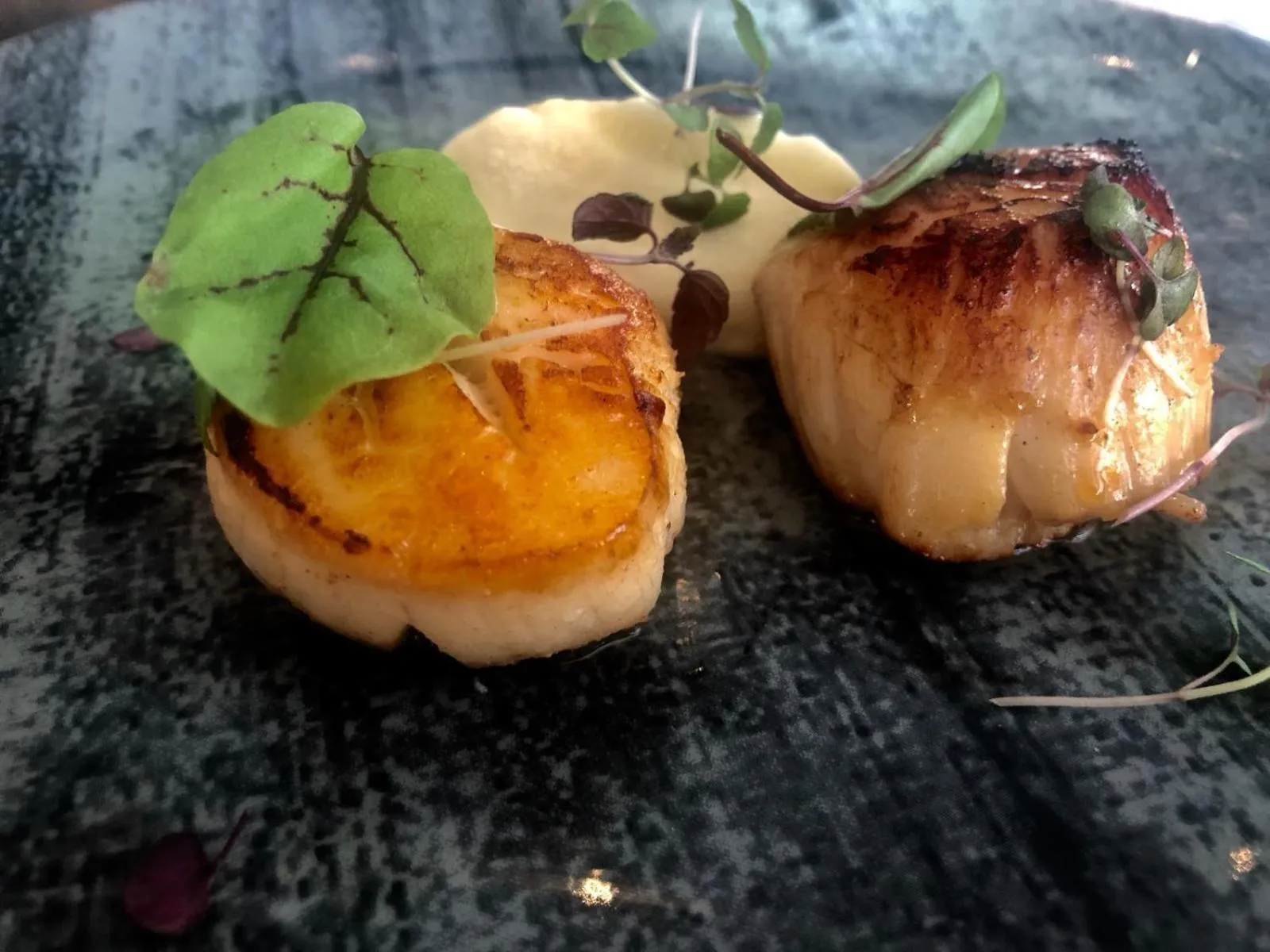 Dining area in Briardene