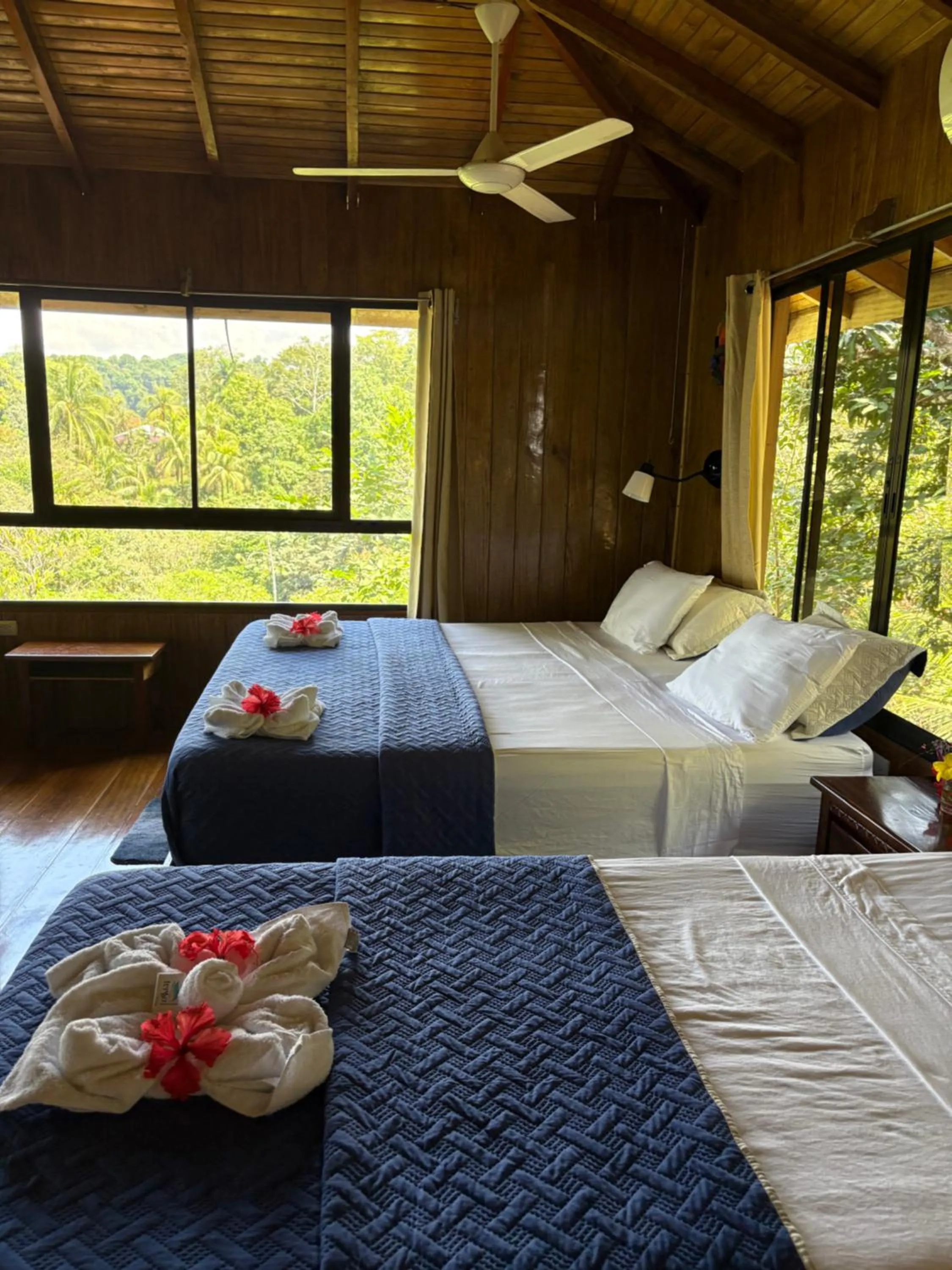 Bed in Casa Horizontes Corcovado