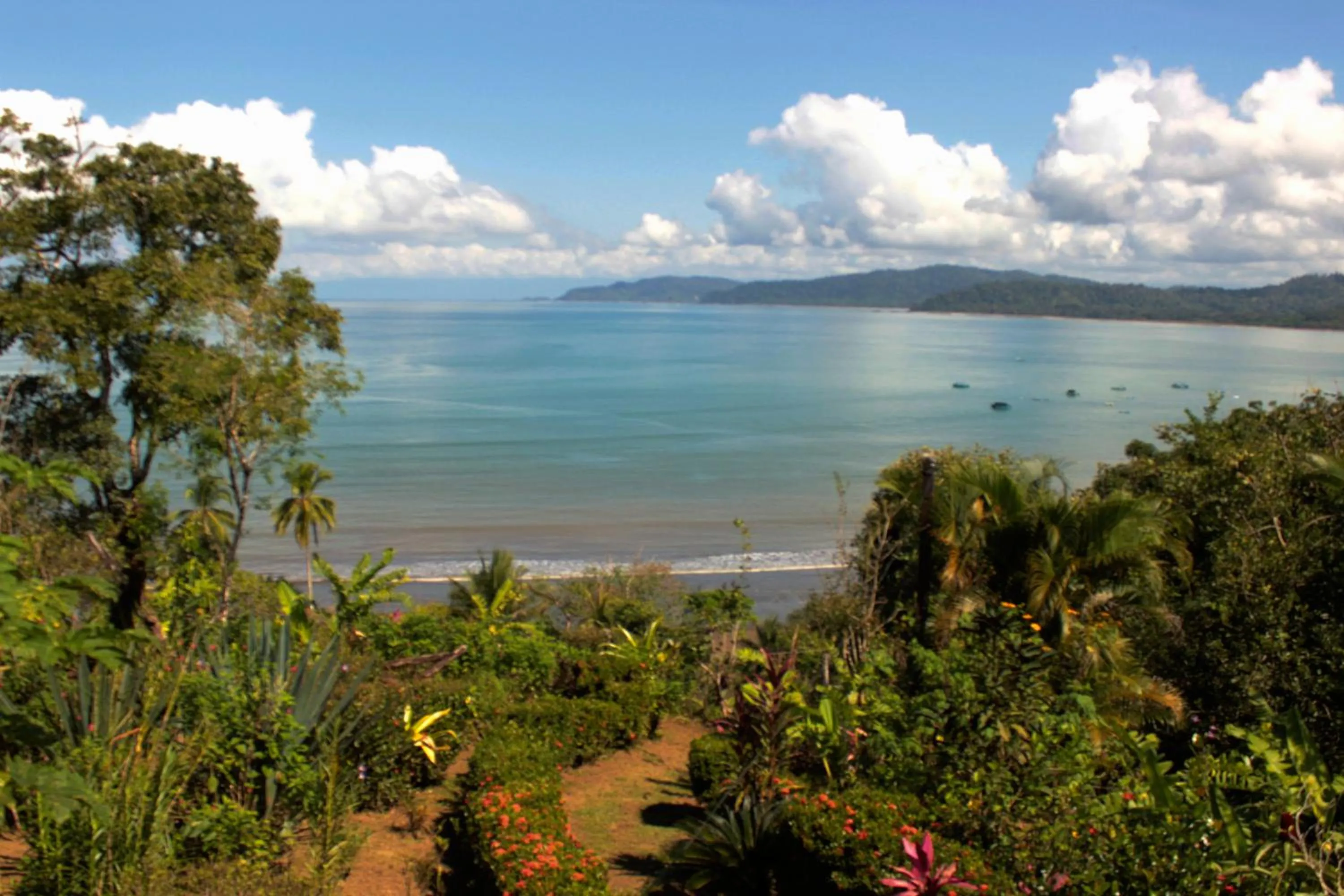 Natural landscape in Casa Horizontes Corcovado