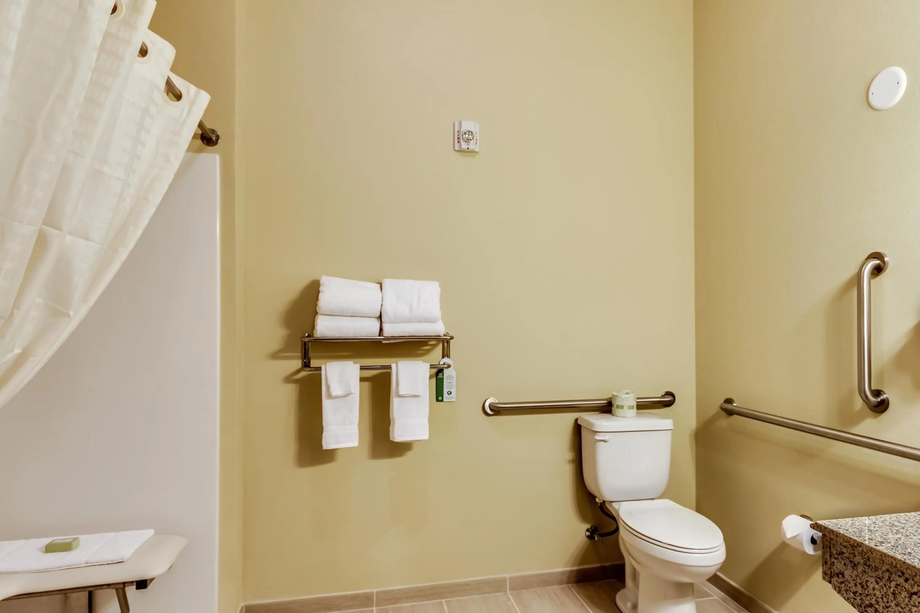 Toilet in Cobblestone Inn & Suites - Waverly