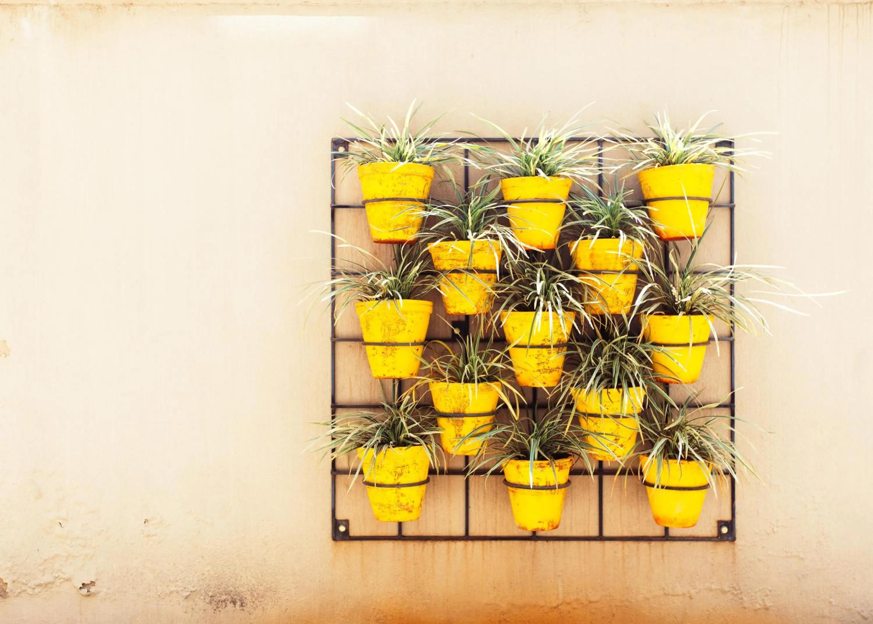 Property building in Fedha Residences by Trianum