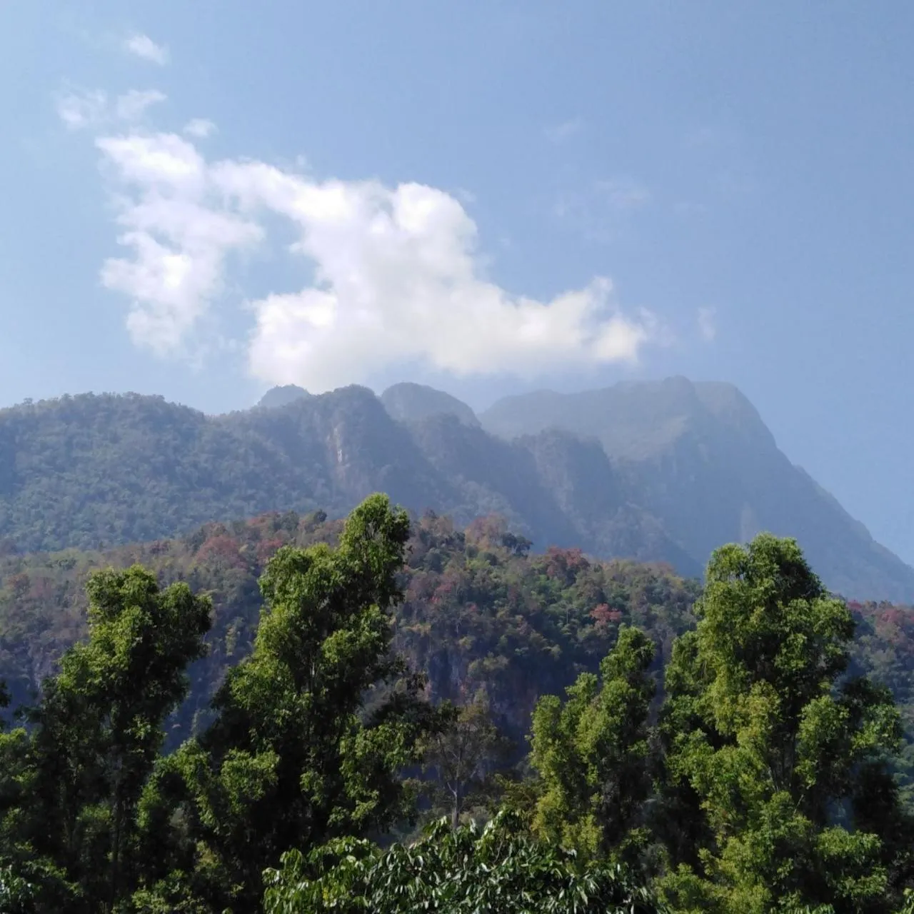 Natural landscape in At Home Chiang Dao, Pooch Lovers