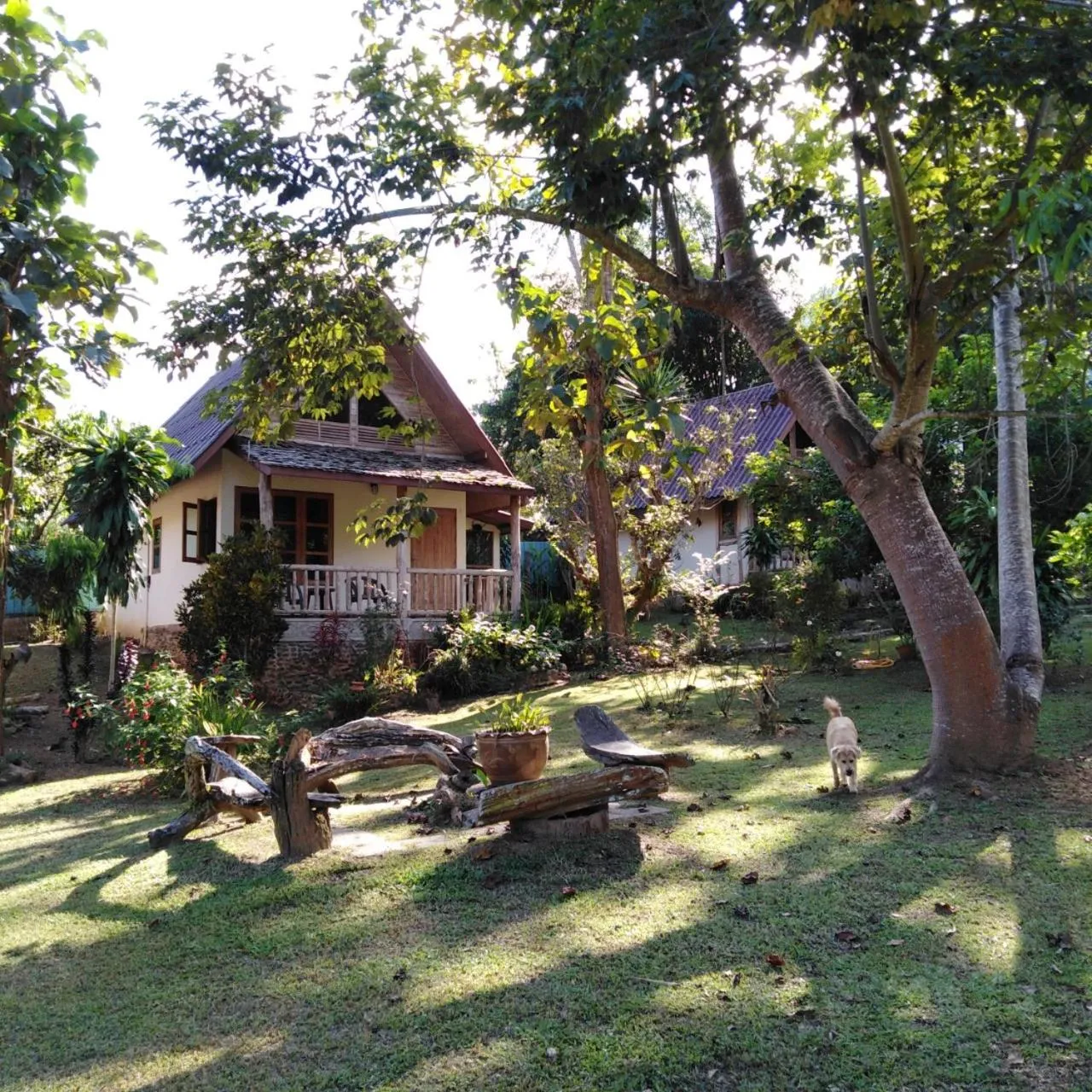 Property building in At Home Chiang Dao, Pooch Lovers