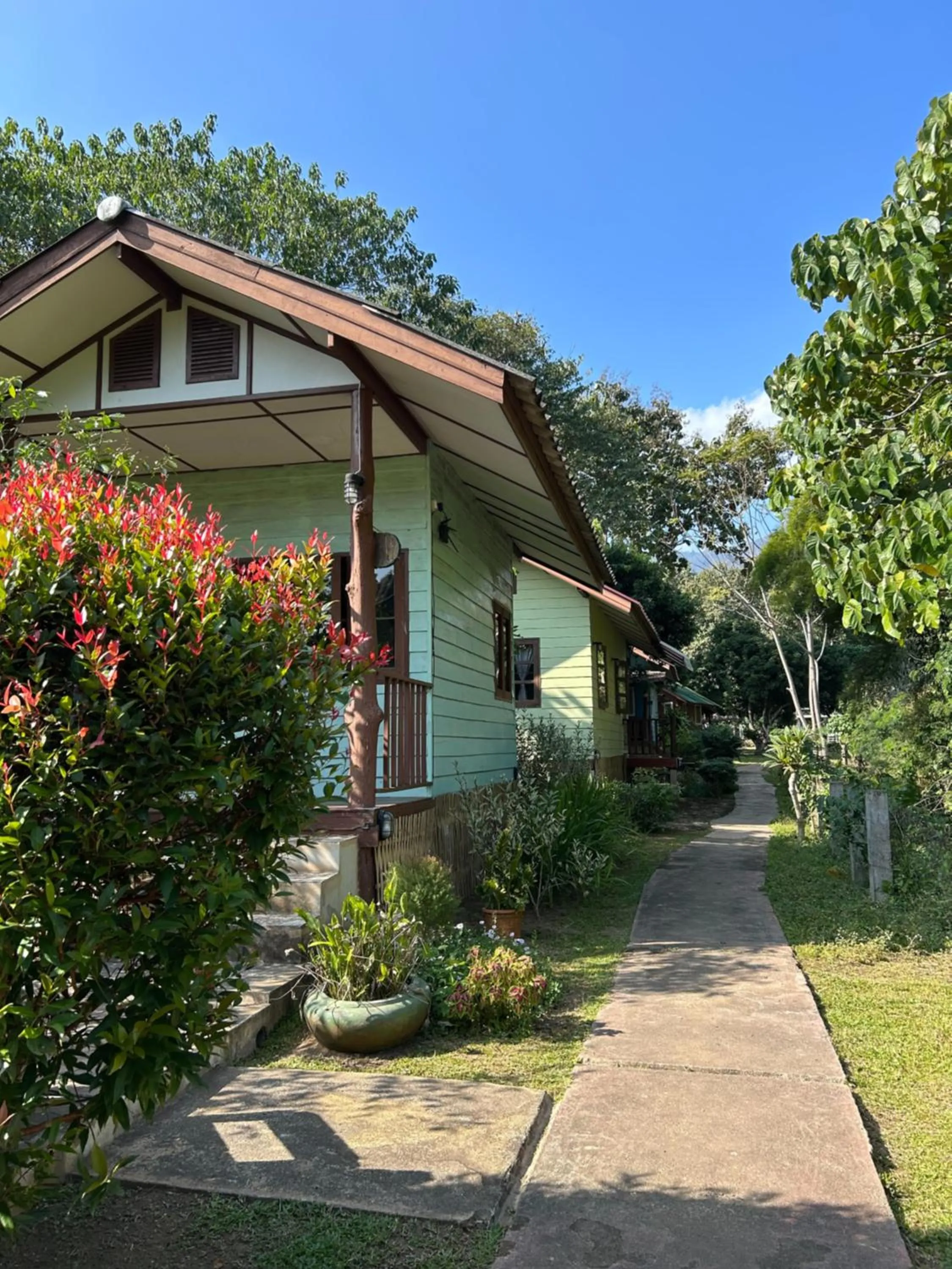 At Home Chiang Dao, Pooch Lovers