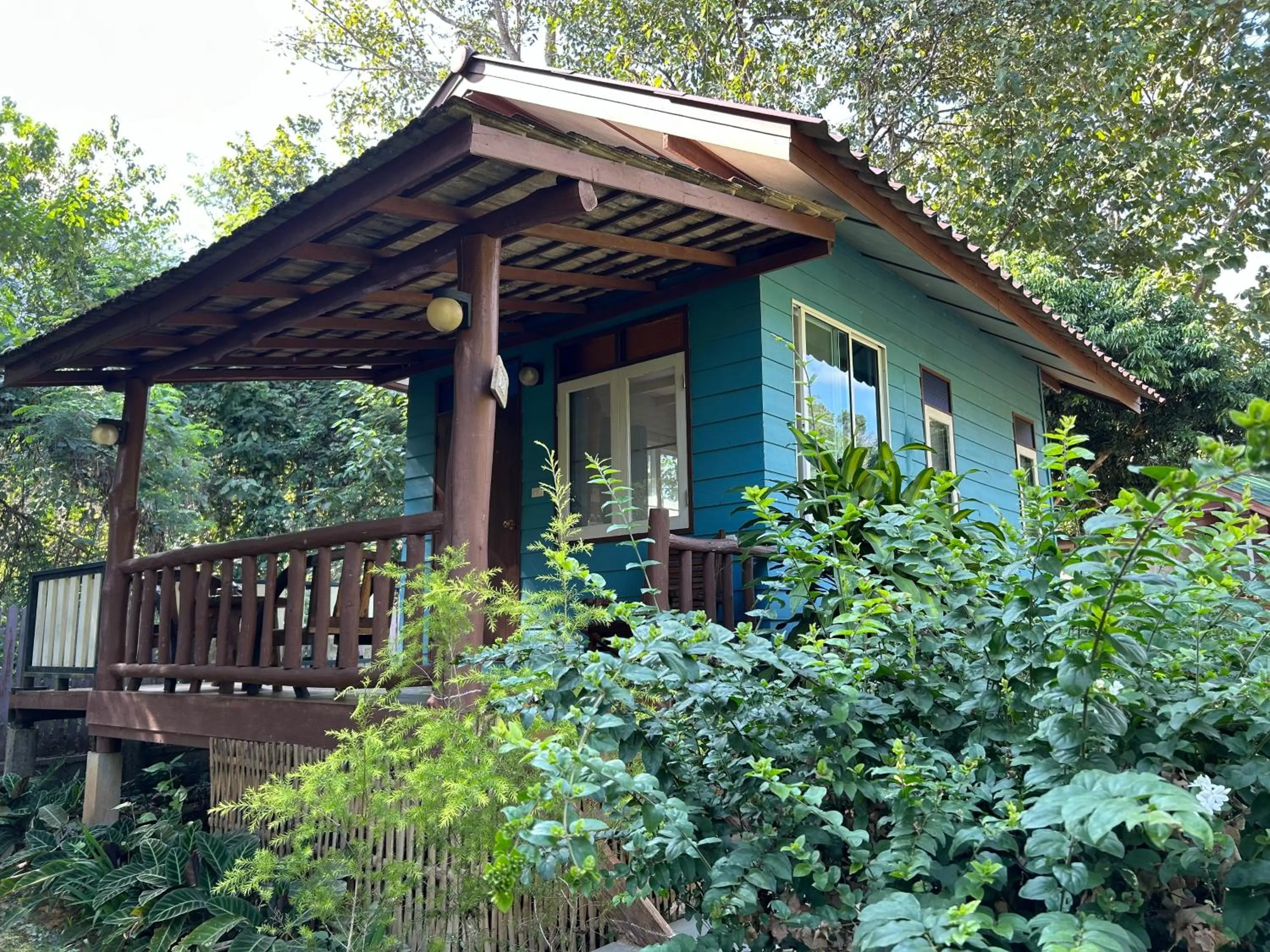 At Home Chiang Dao, Pooch Lovers