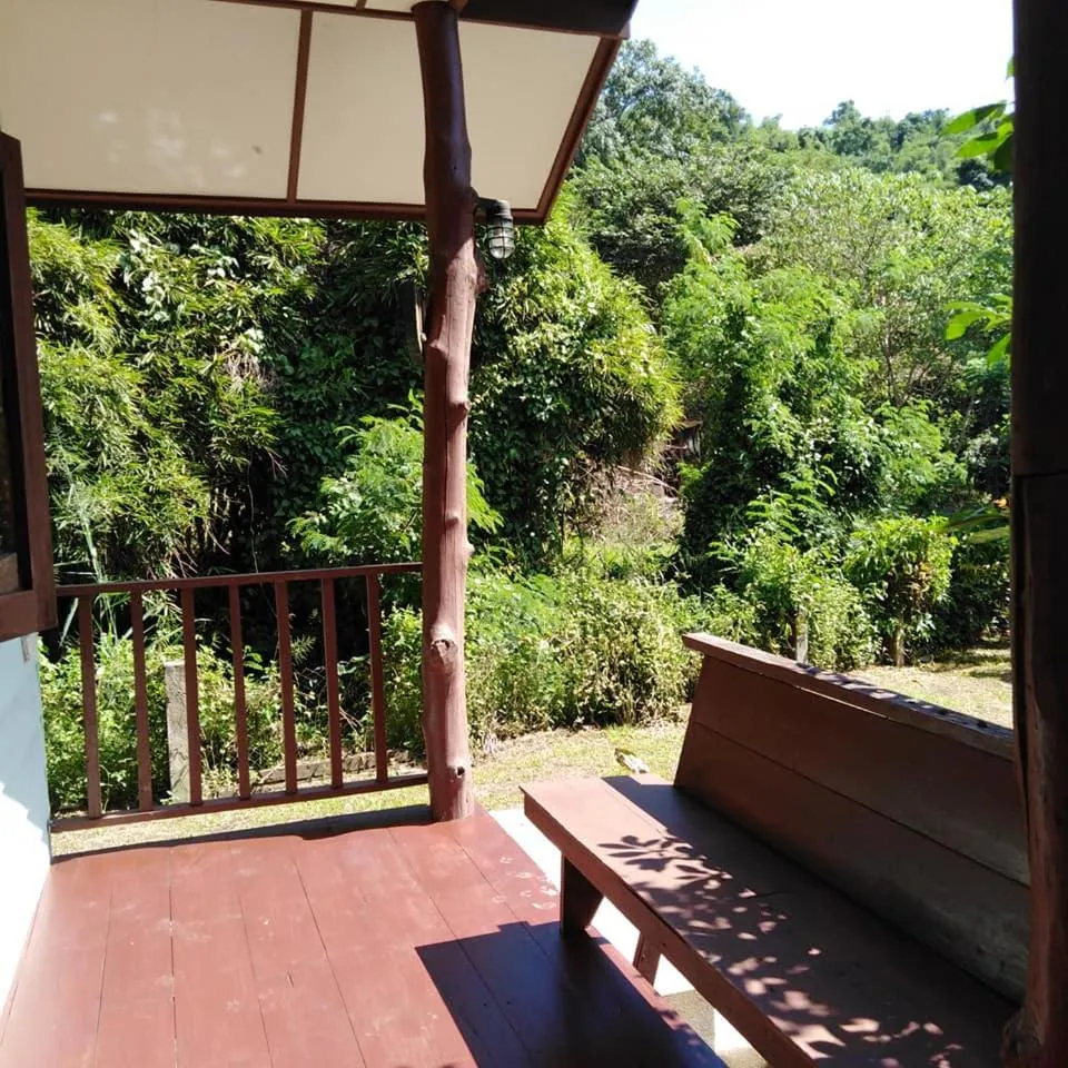 At Home Chiang Dao, Pooch Lovers