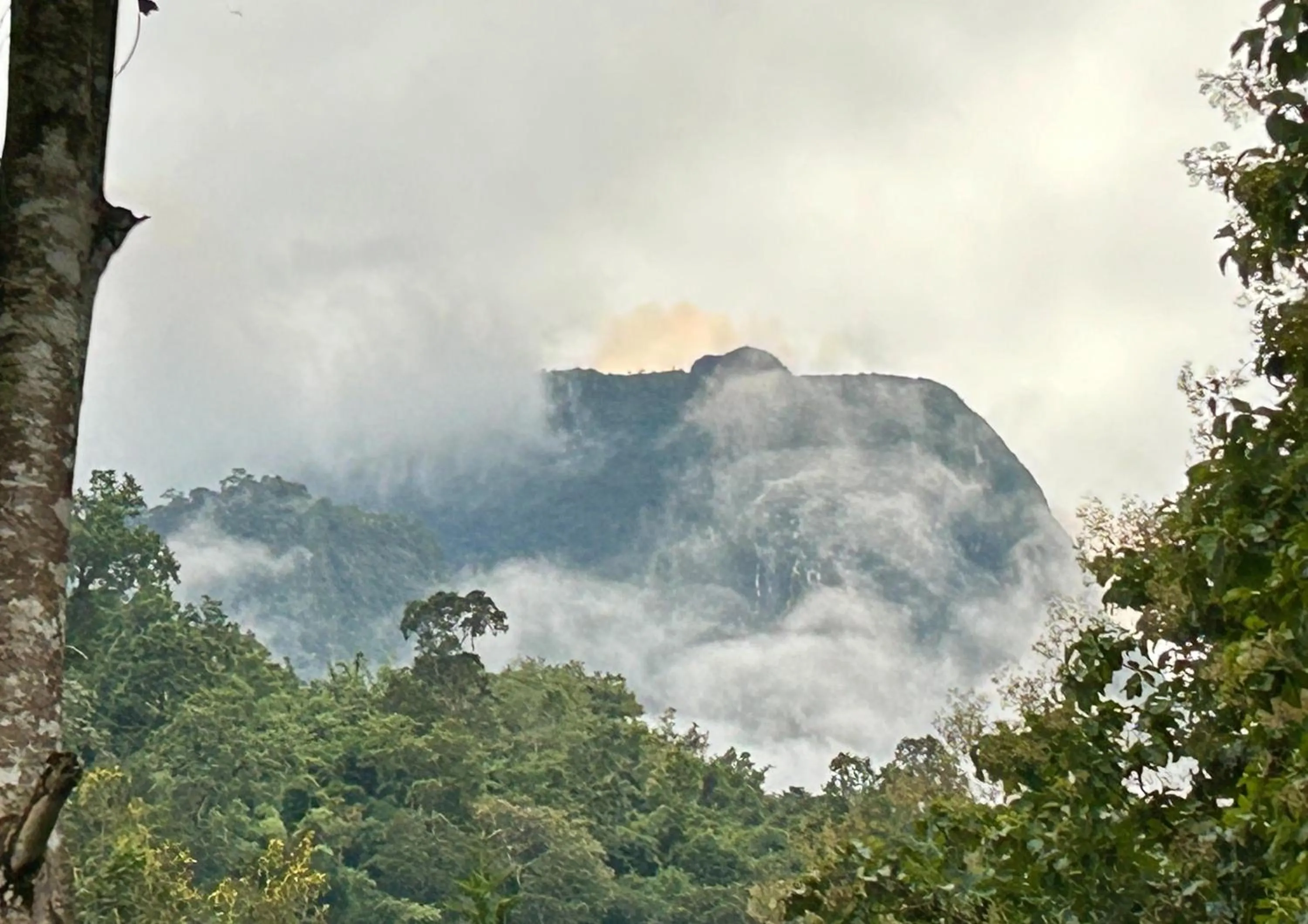 At Home Chiang Dao, Pooch Lovers