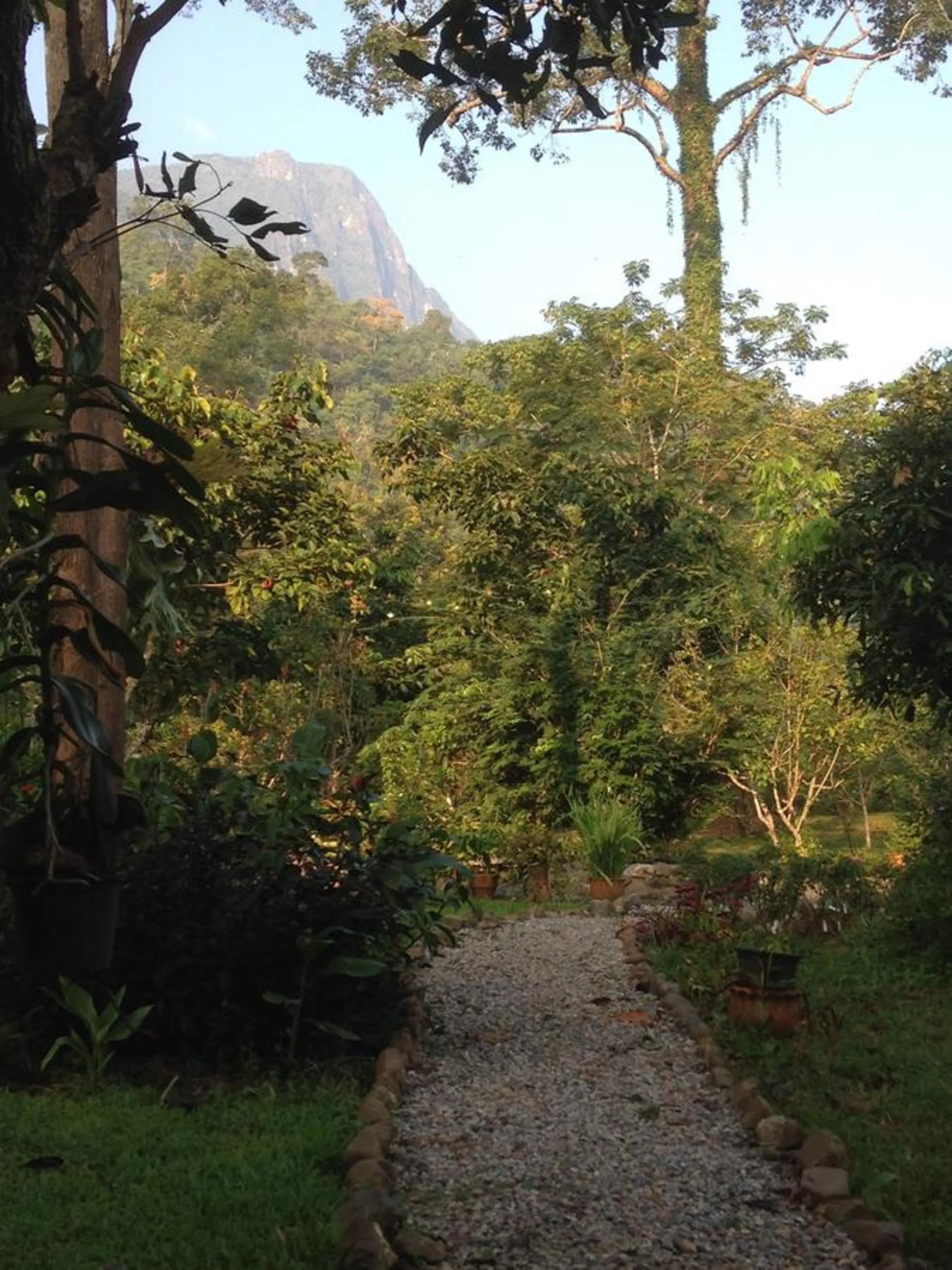 At Home Chiang Dao, Pooch Lovers