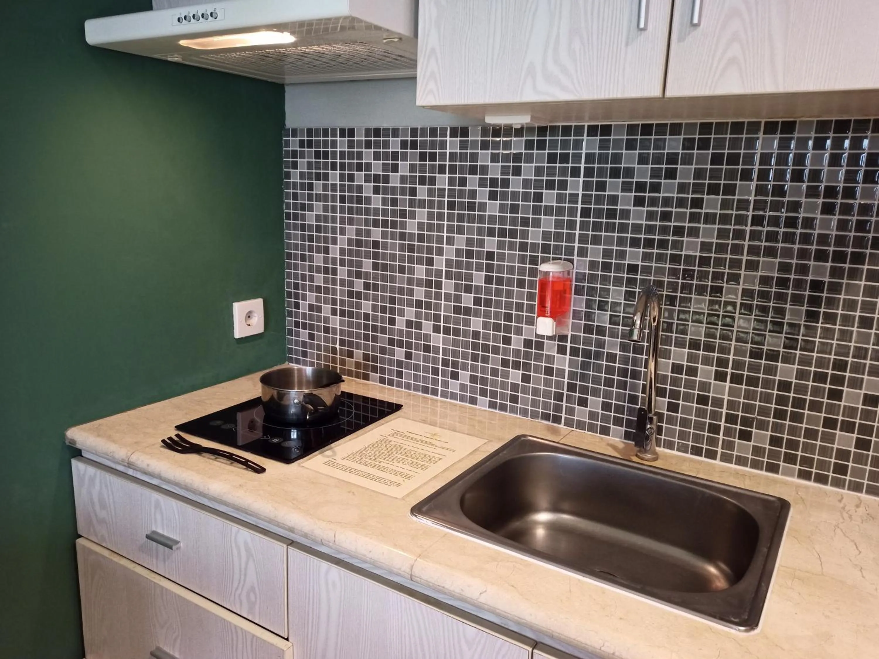 Kitchen or kitchenette in Student Park Hotel