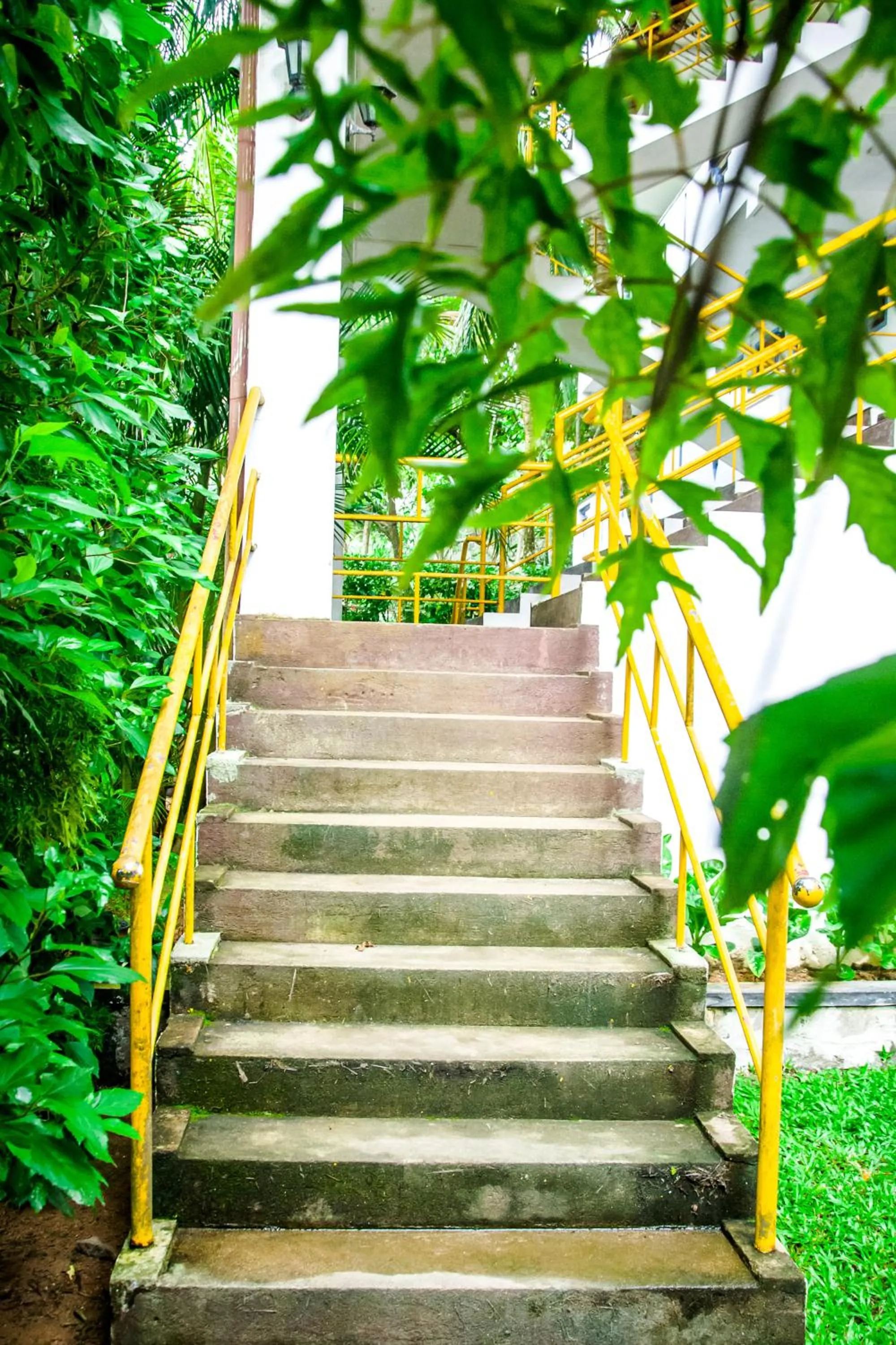 Property building in No Name Rest