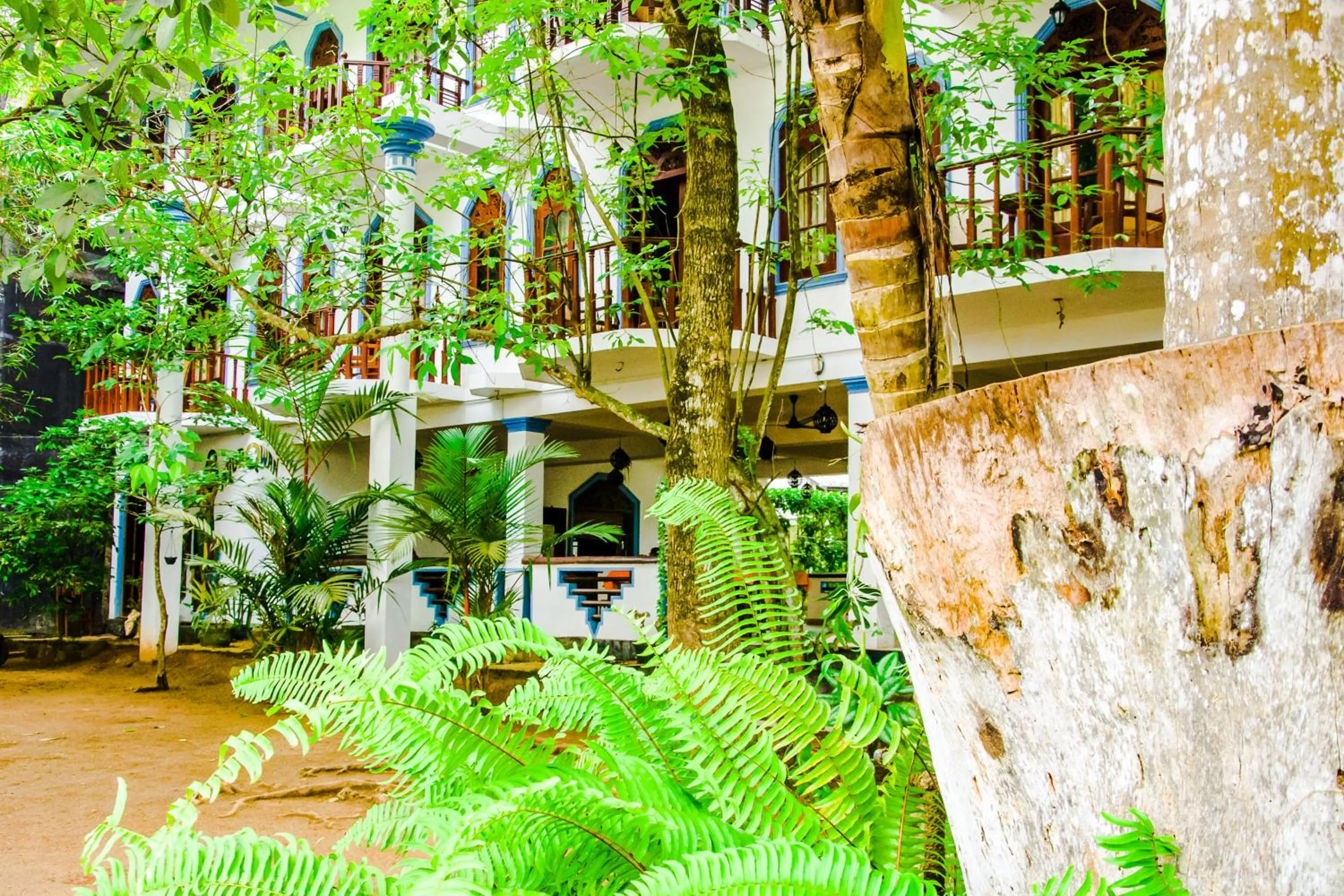 Property building in No Name Rest