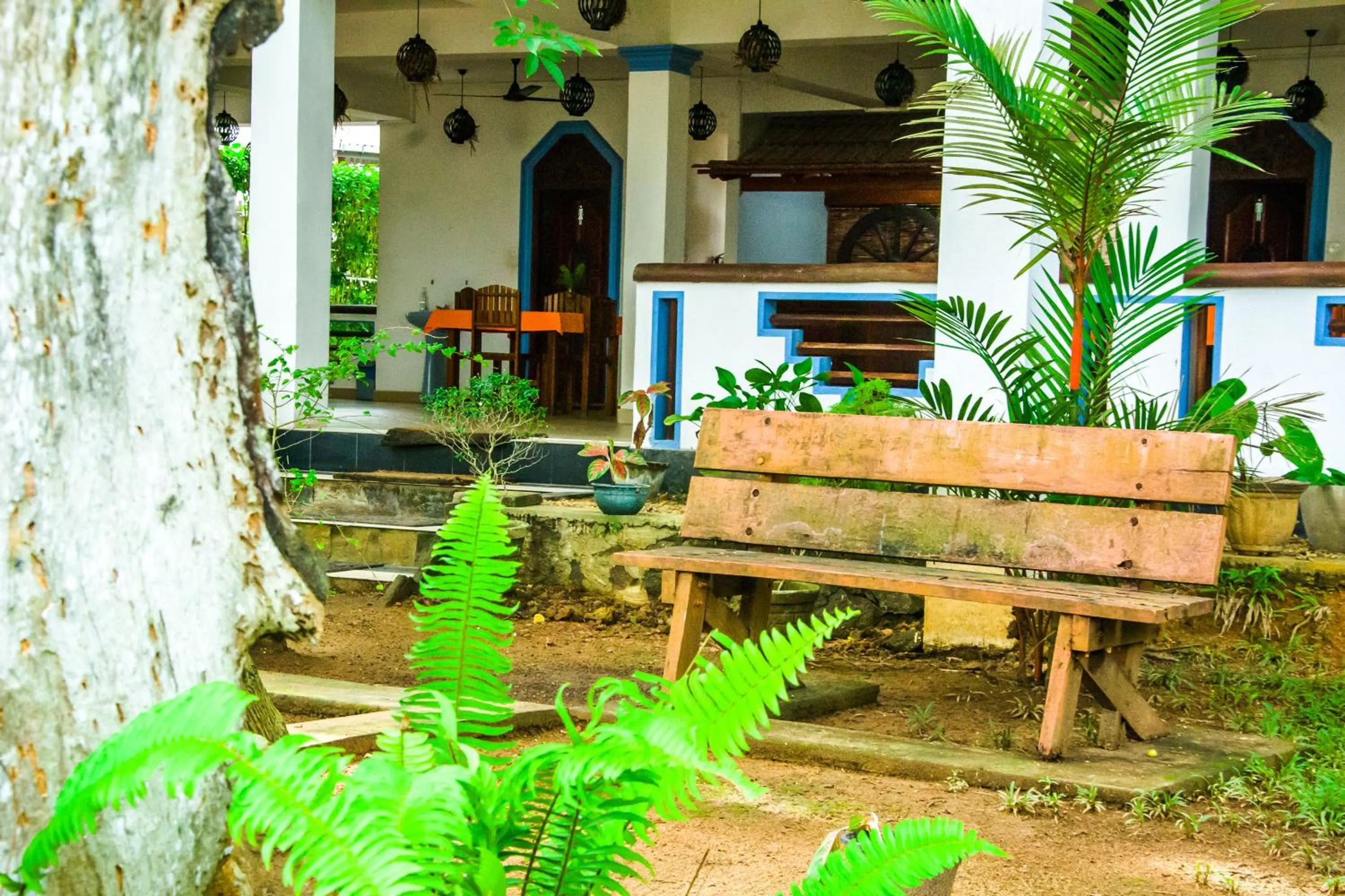 Garden in No Name Rest