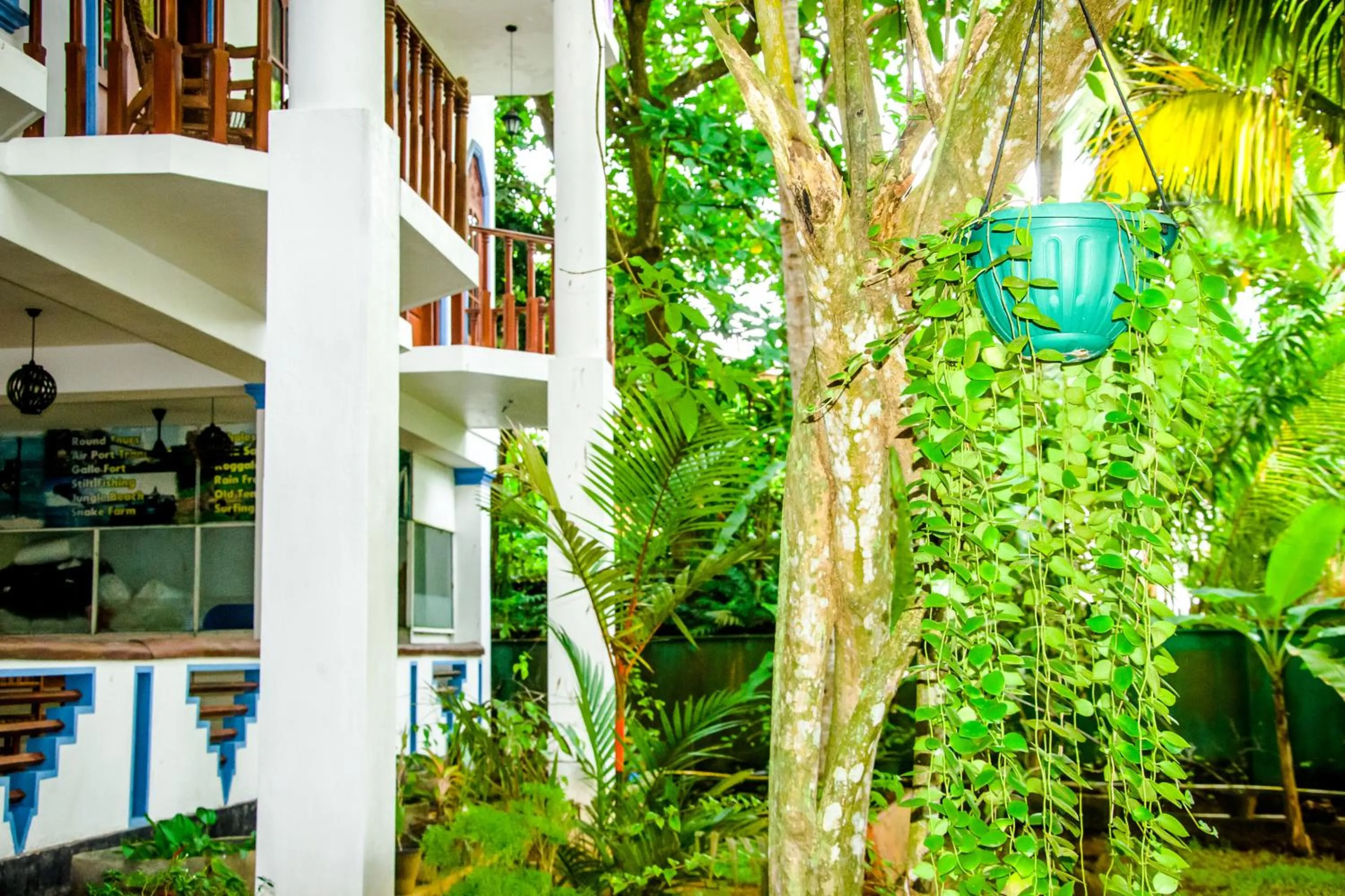 Property building in No Name Rest