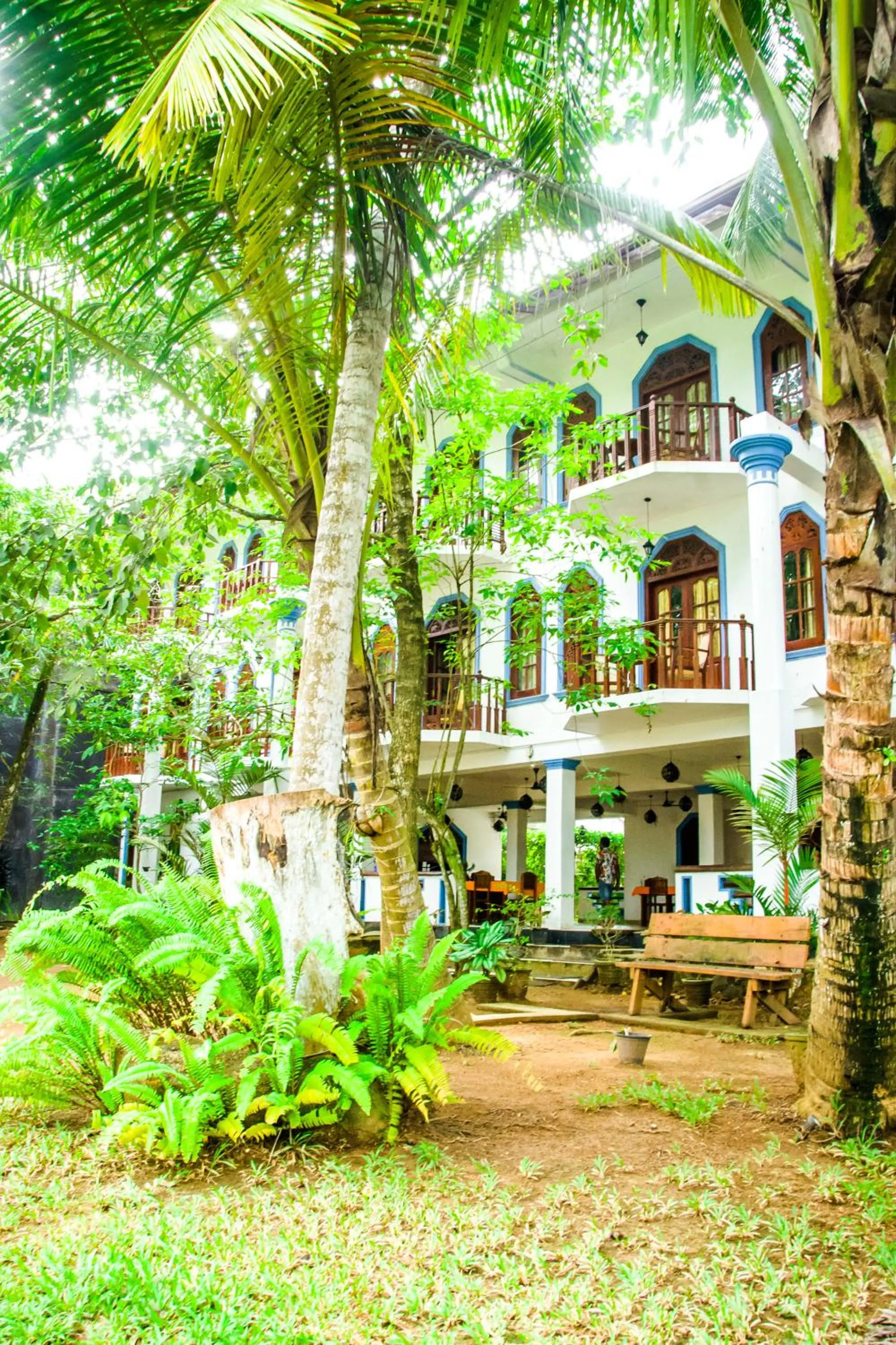 Property building in No Name Rest