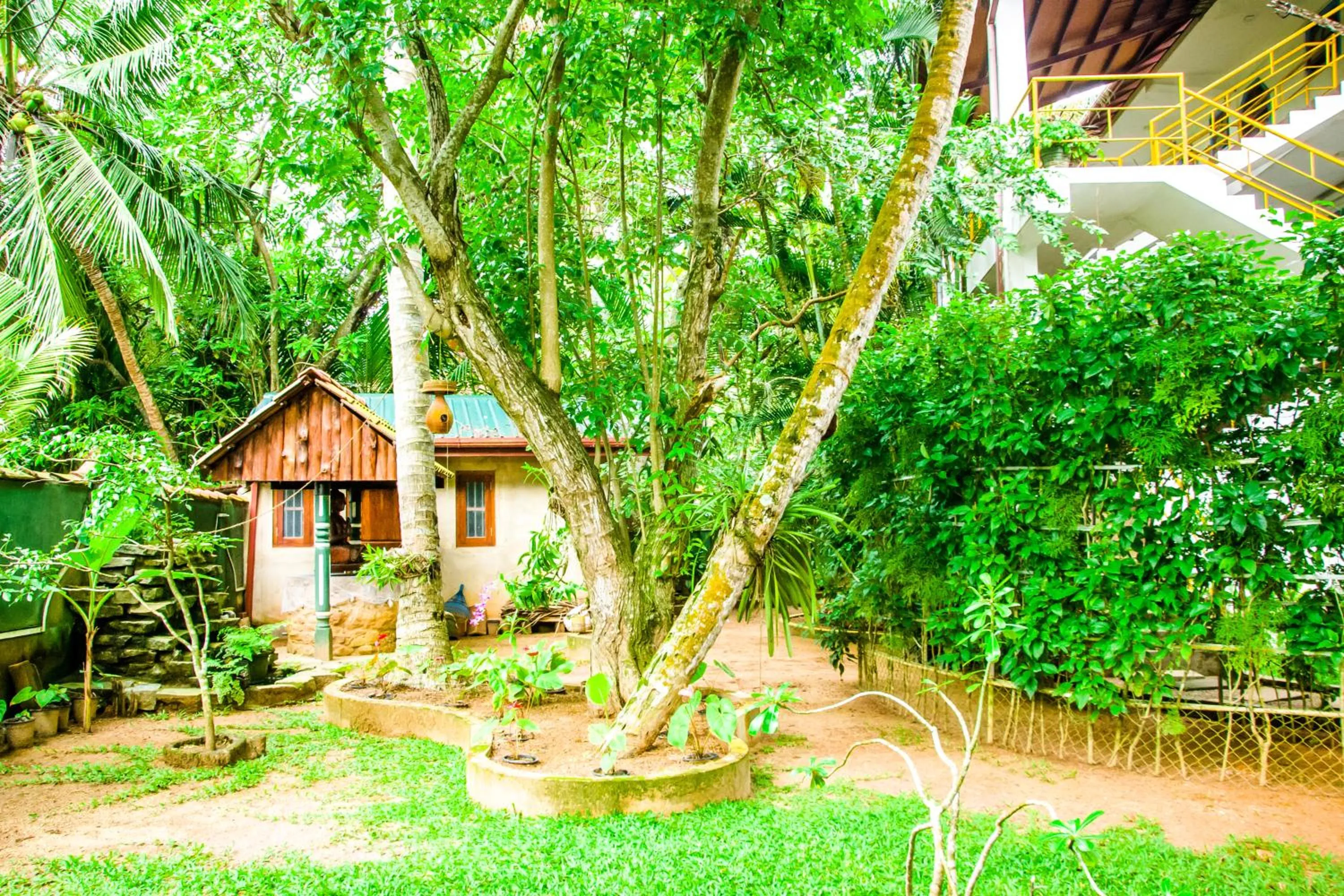 Garden in No Name Rest