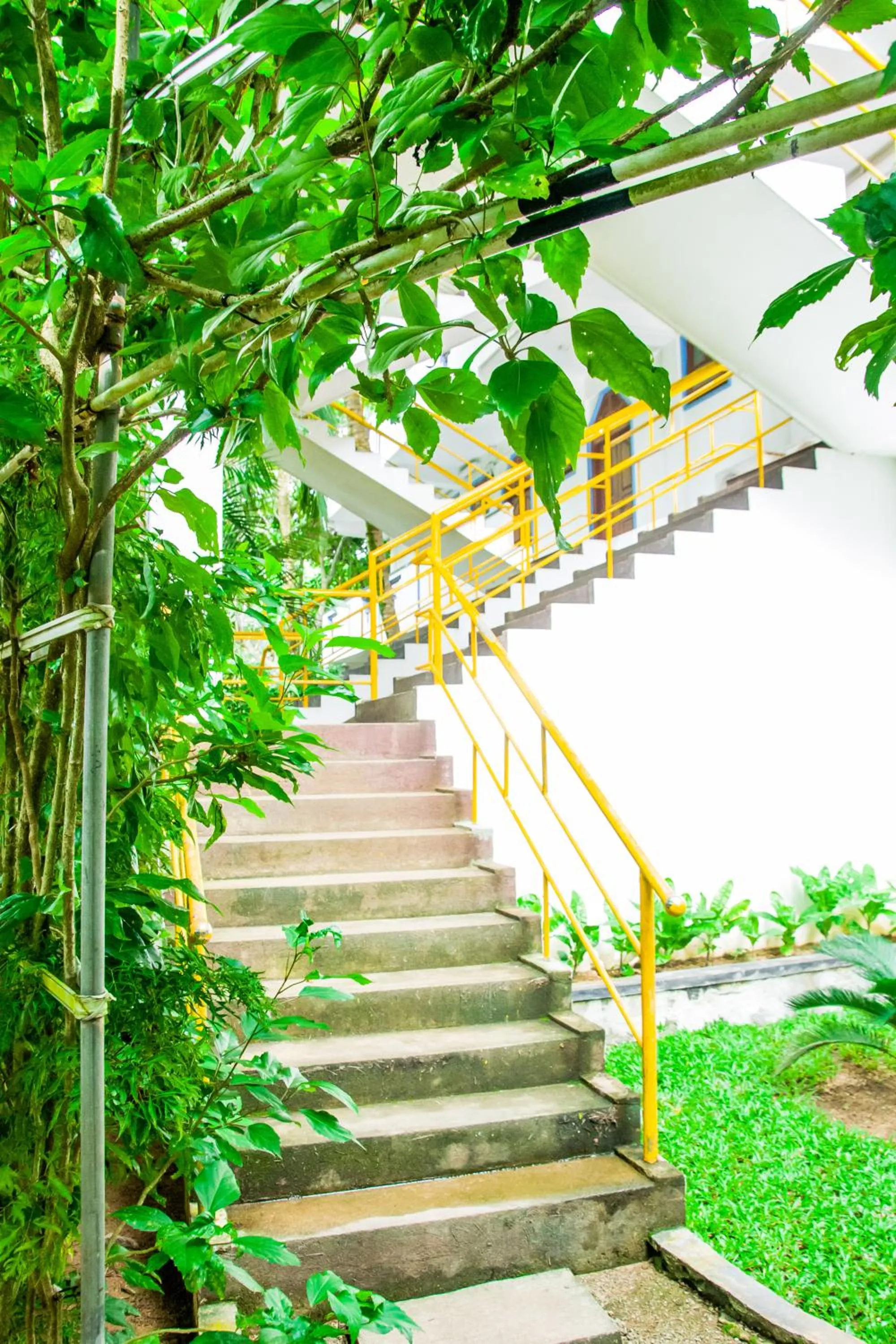 Property building in No Name Rest