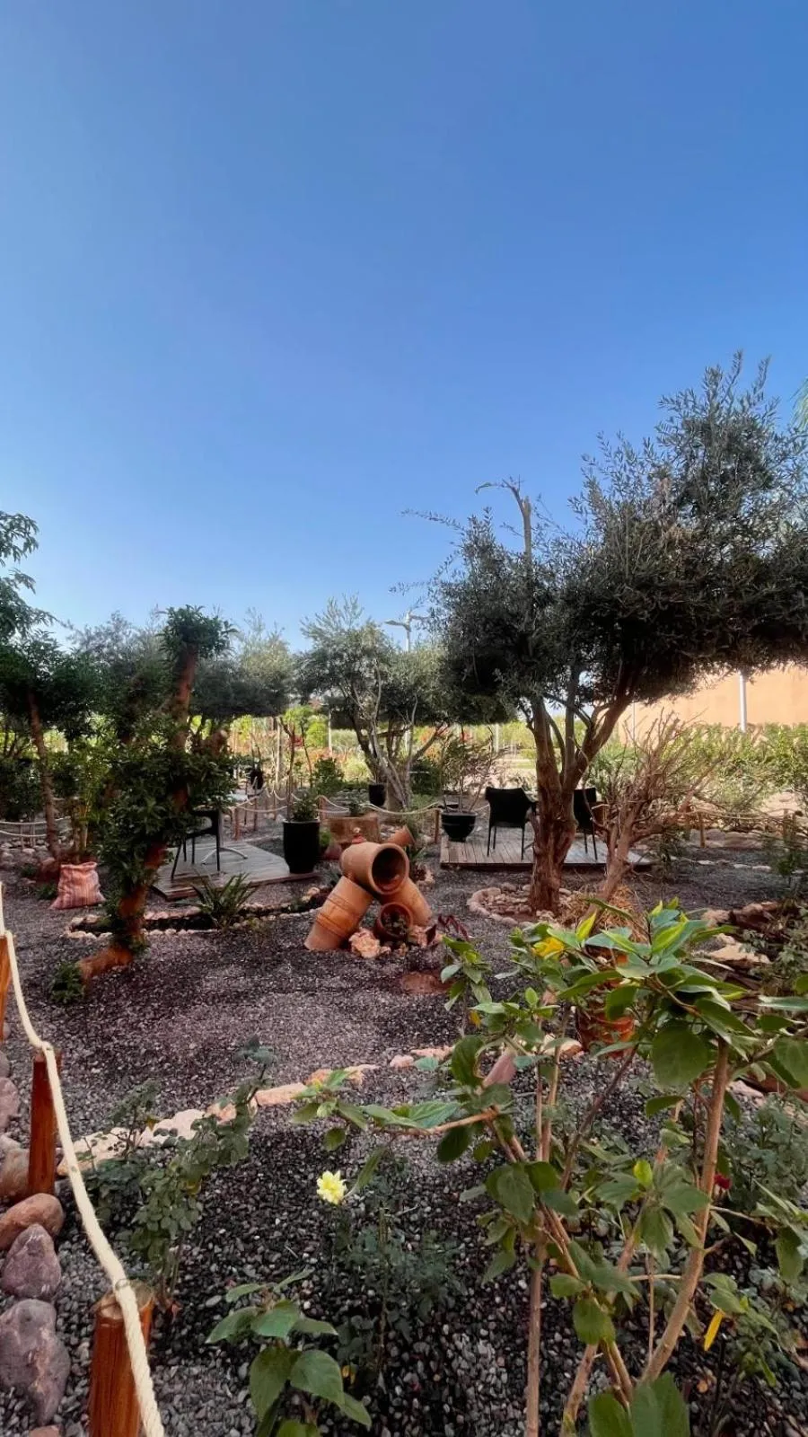 Garden in Riad Soir De Marrakech