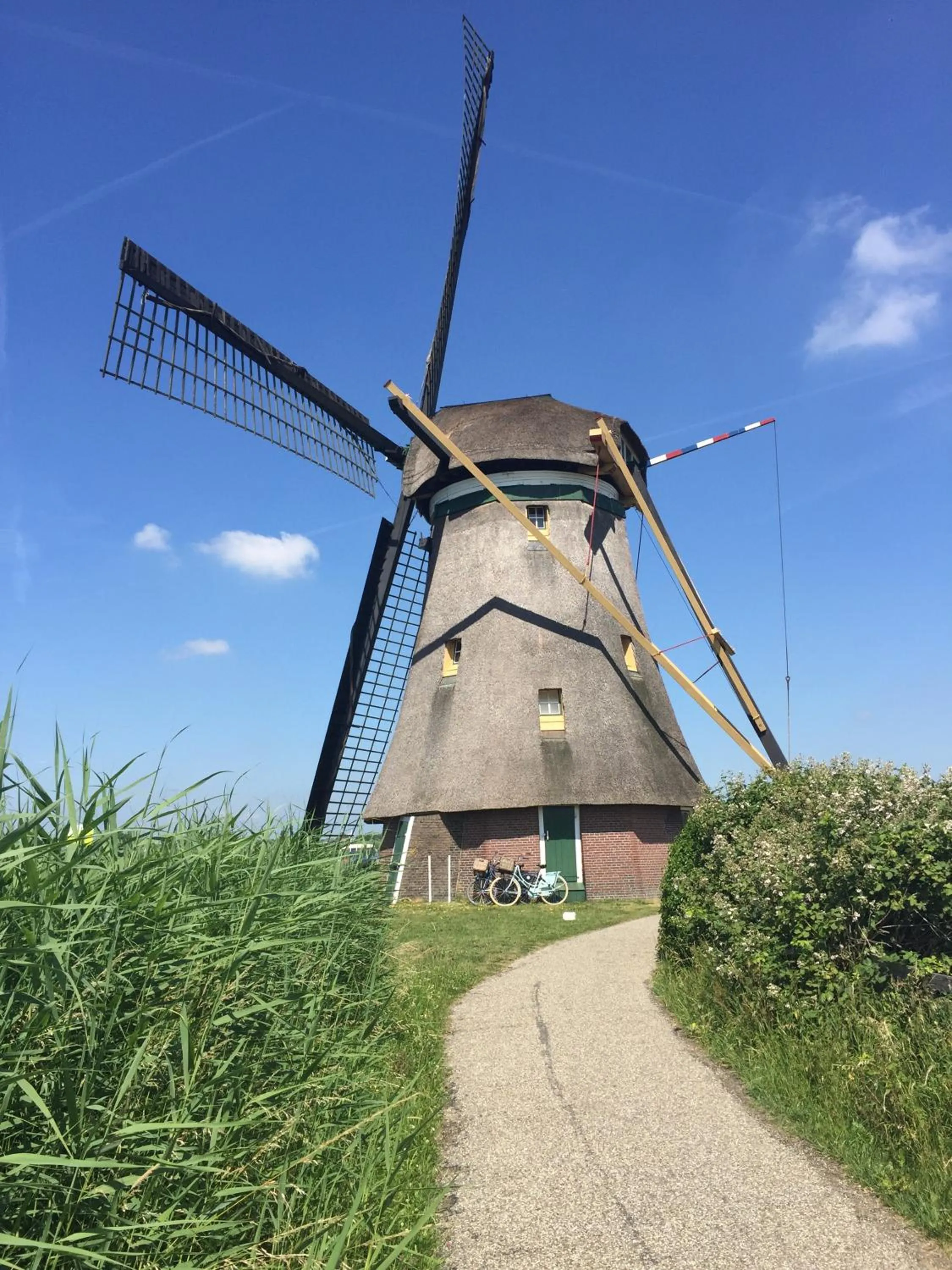 Area and facilities in Droomgaerd