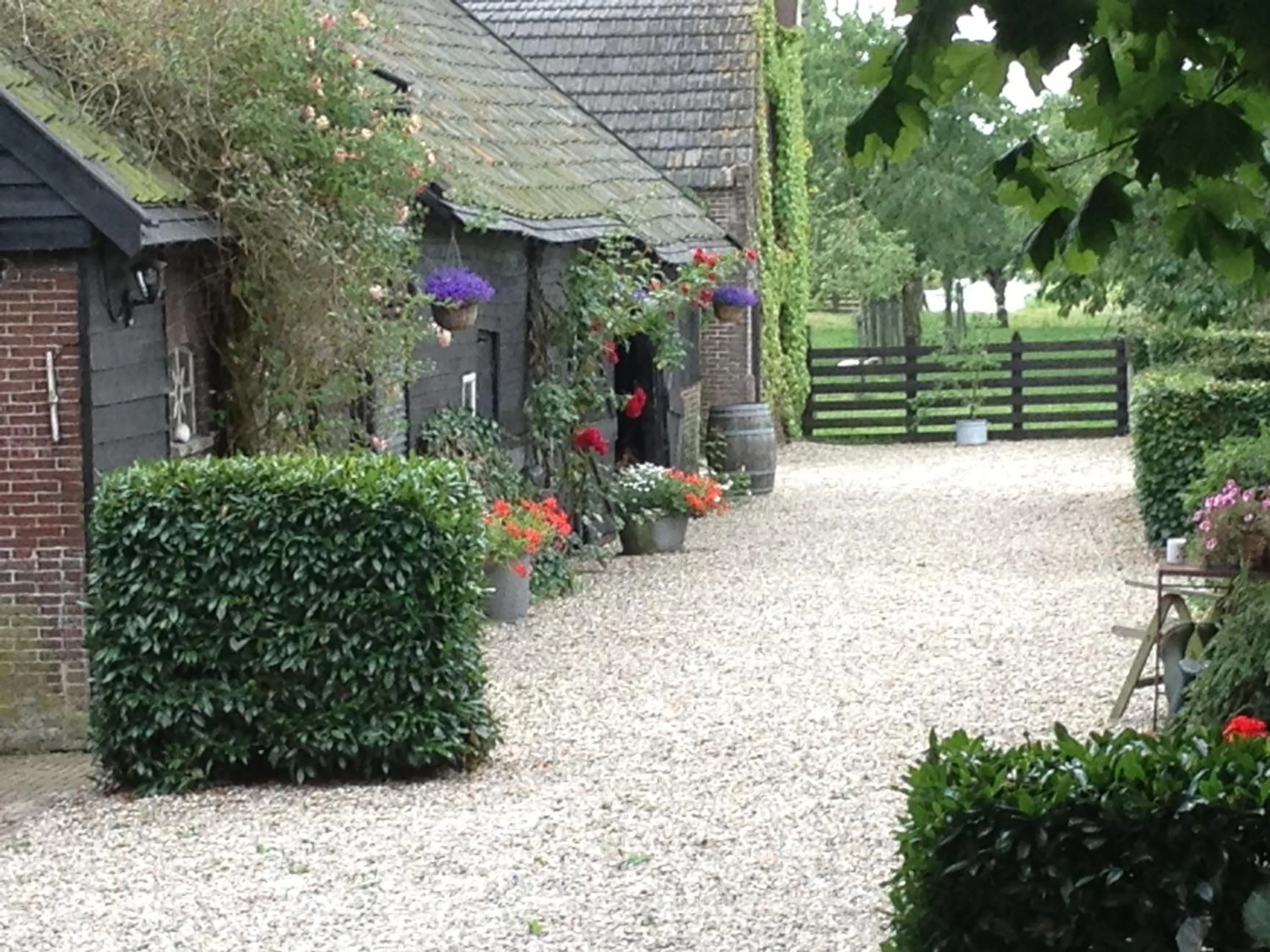 Area and facilities in Droomgaerd