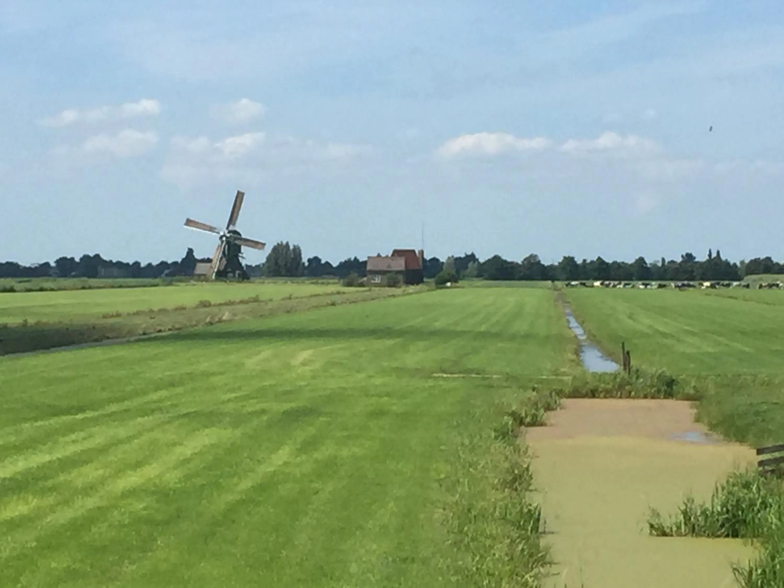 Area and facilities in Droomgaerd