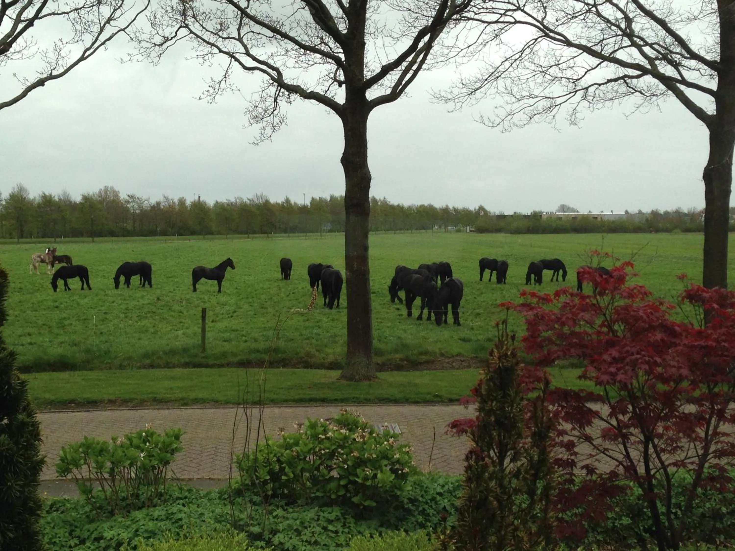 Nearby landmark in B&B Gaasterland