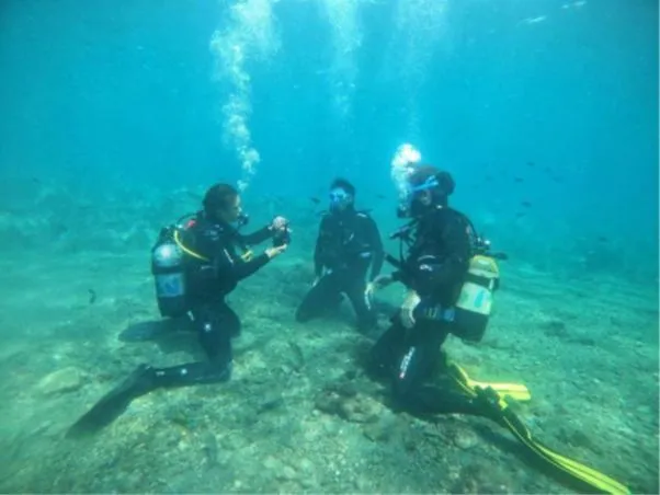 Activities in Hotel Victoria Playa