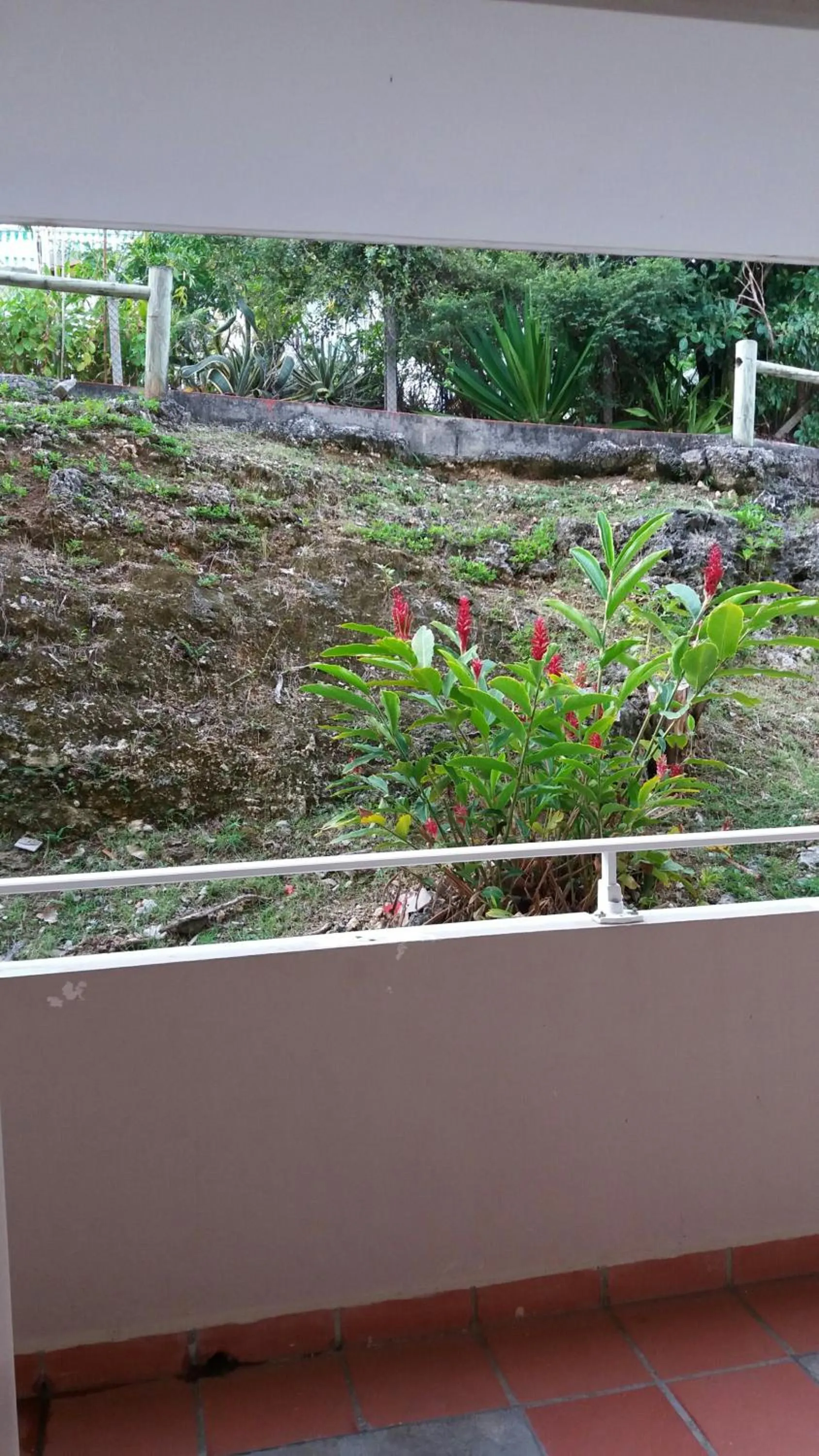 Natural landscape in Résidence de la Vielle Tour - Studio particulier vue mer