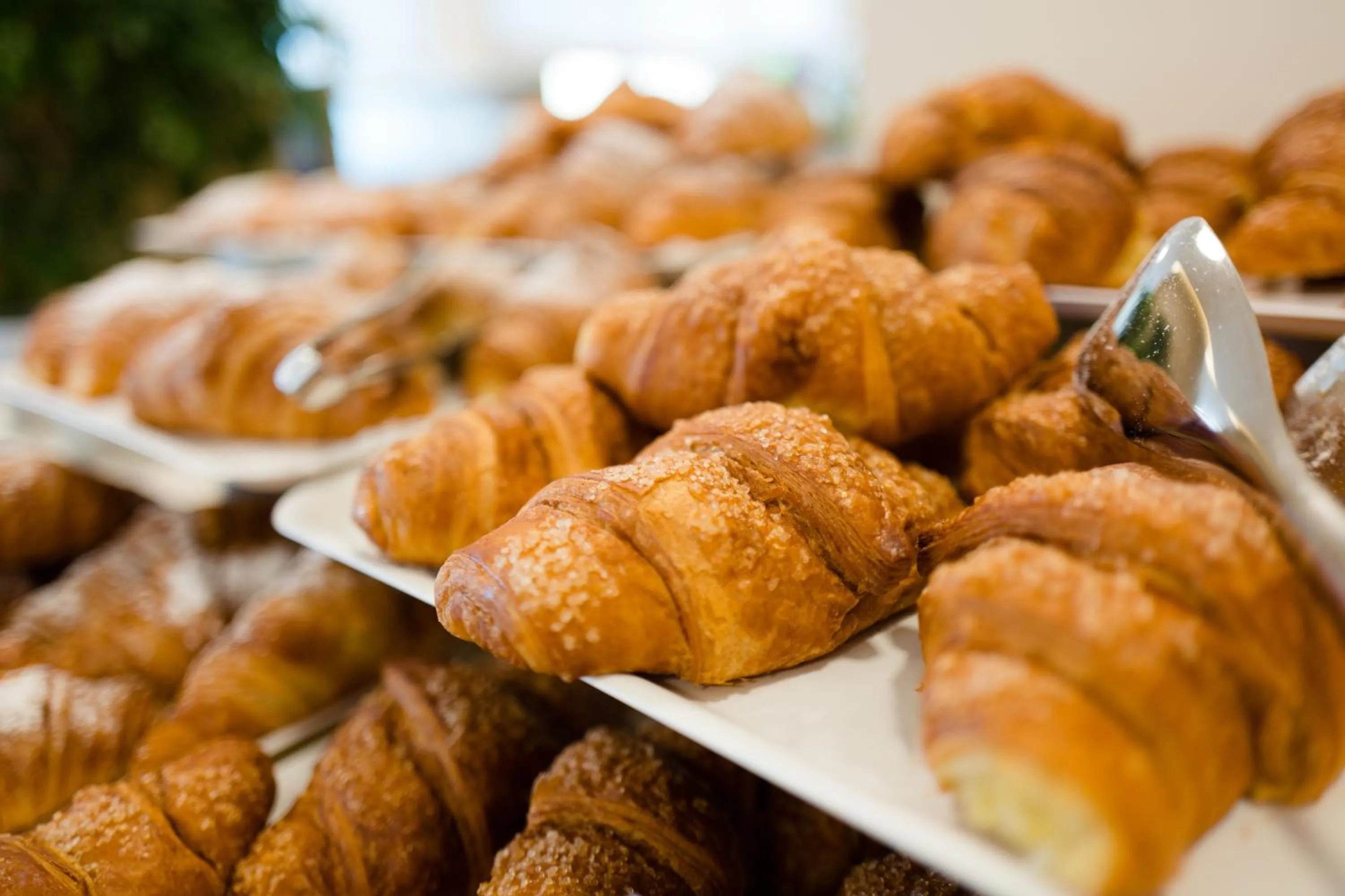 Breakfast in Laguna Park Hotel 4Superior