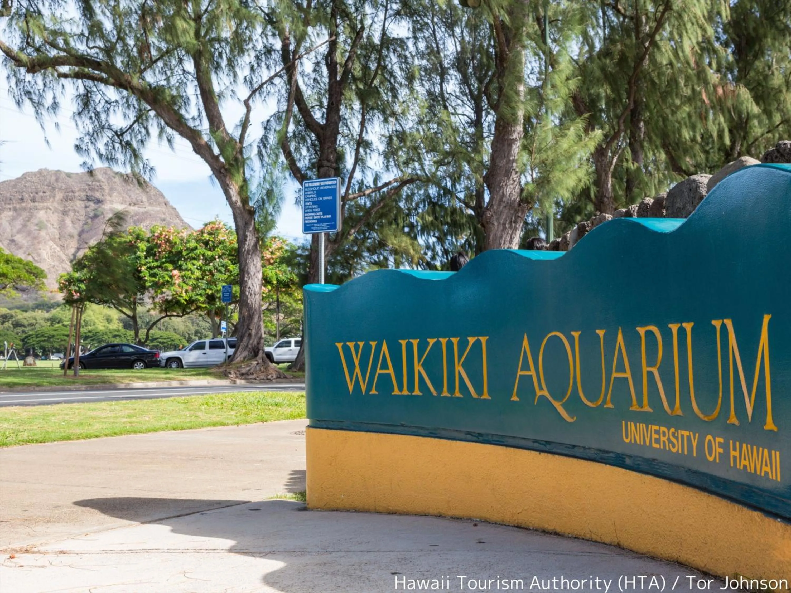 Nearby landmark in First Cabin International Hawaii