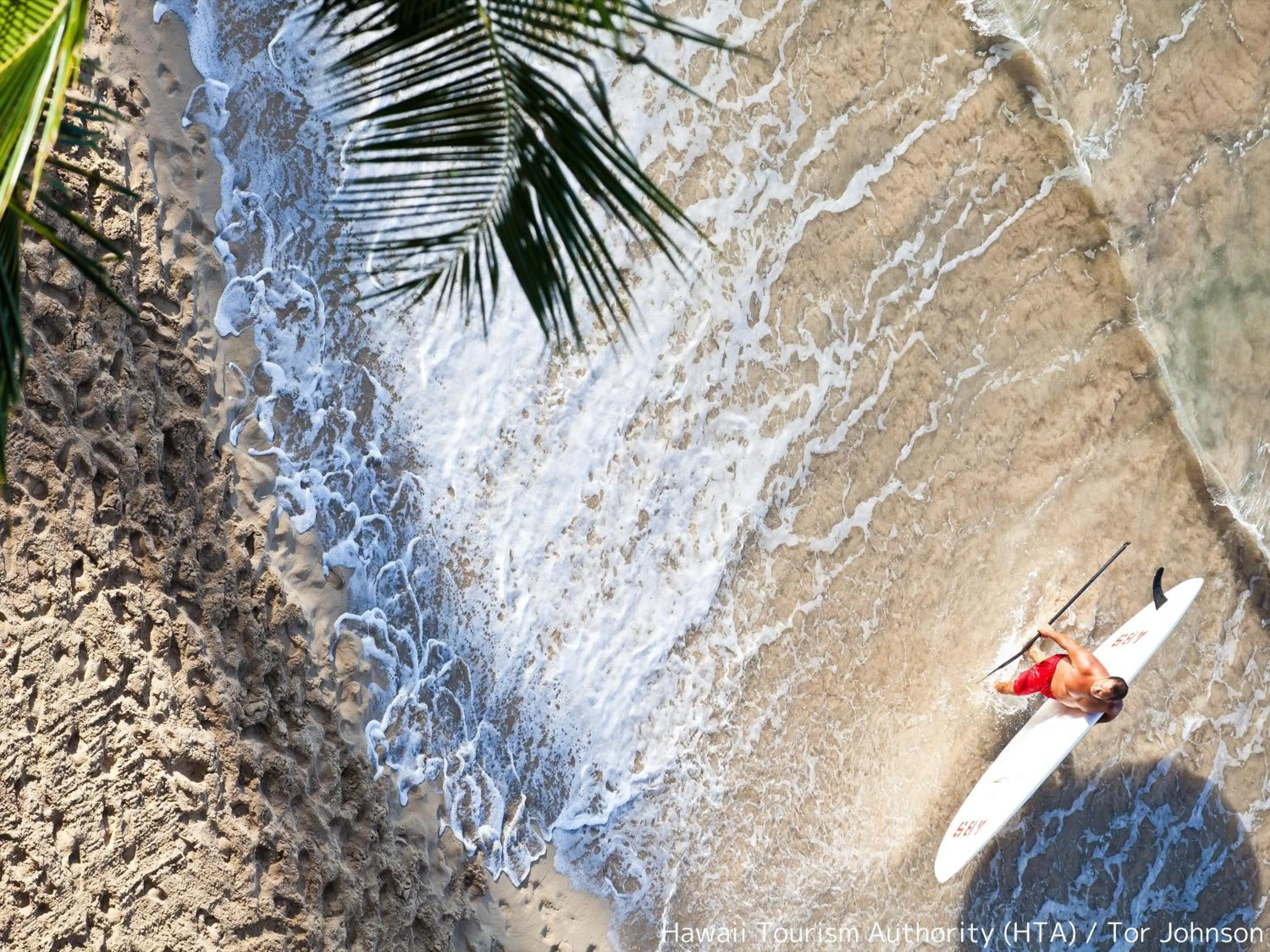 Nearby landmark in First Cabin International Hawaii