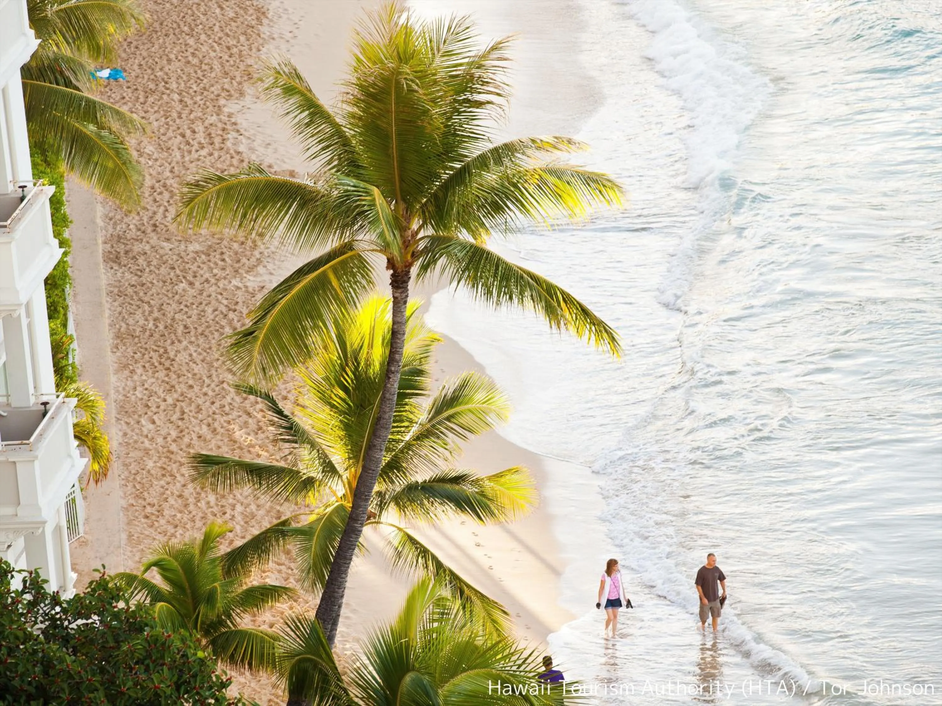 Nearby landmark in First Cabin International Hawaii