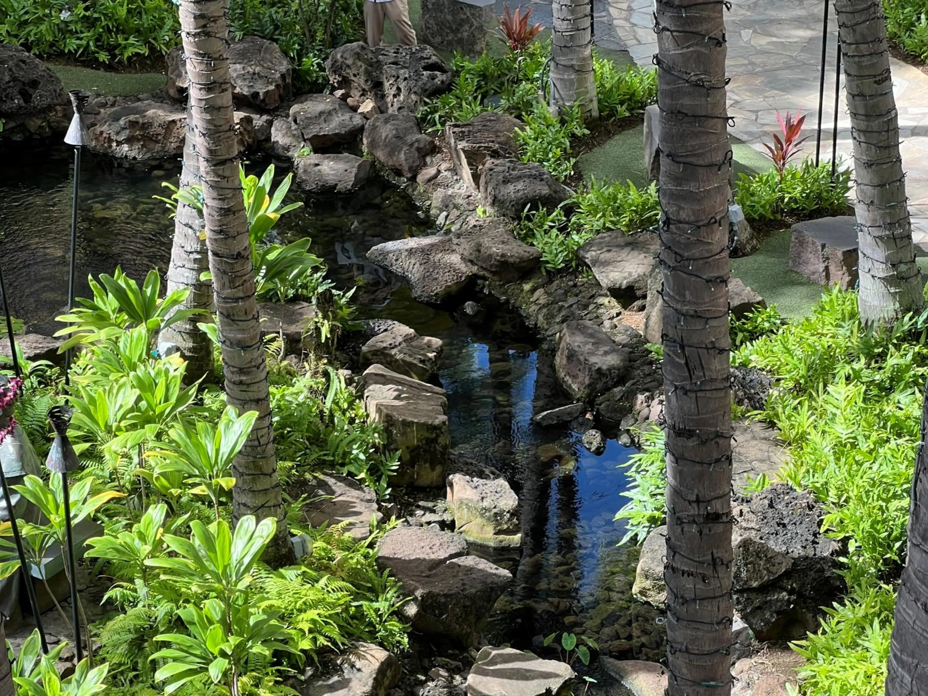 Off site in First Cabin International Hawaii