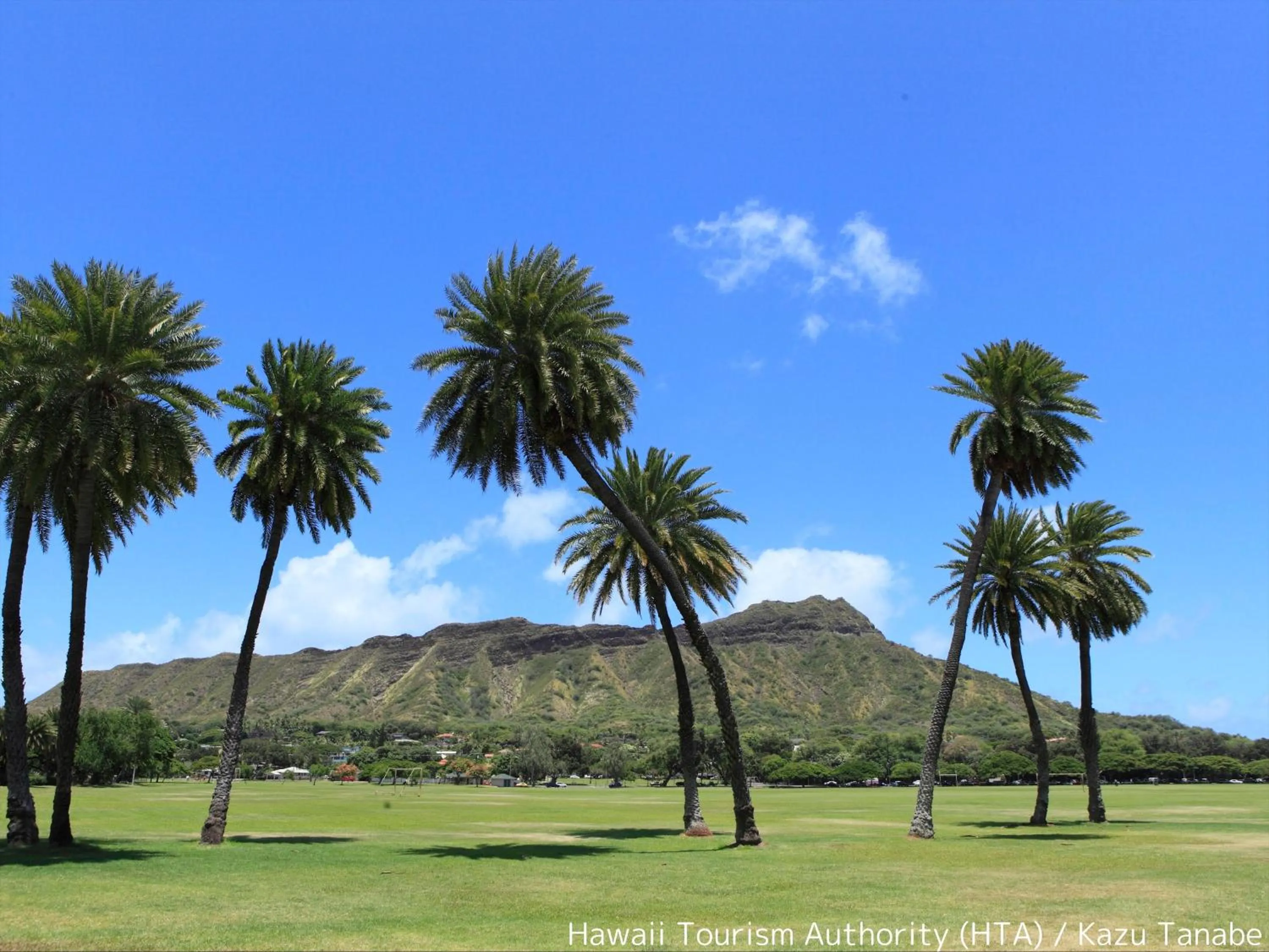 Nearby landmark in First Cabin International Hawaii
