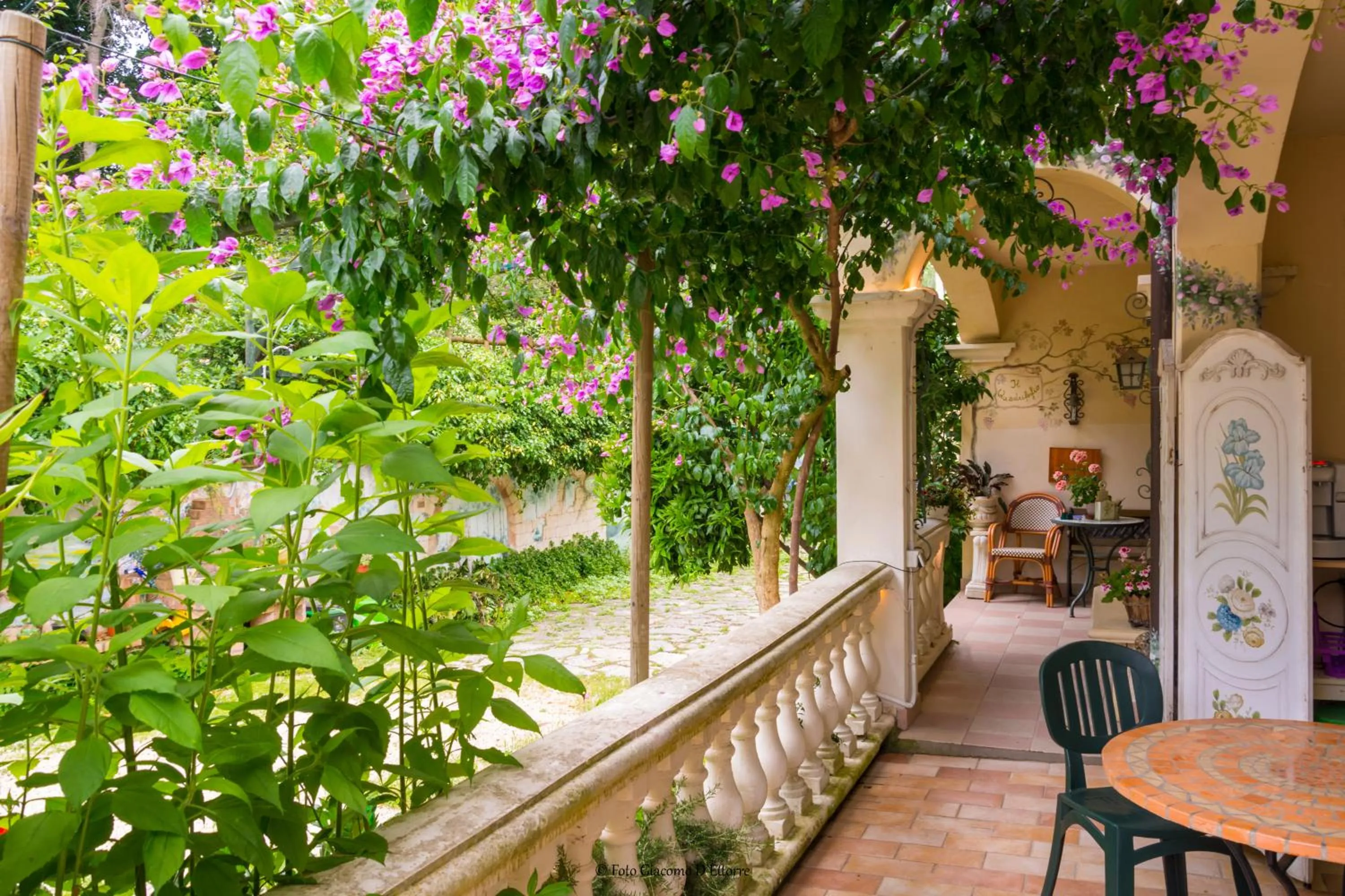 BBQ facilities in Agriturismo il Quadrifoglio