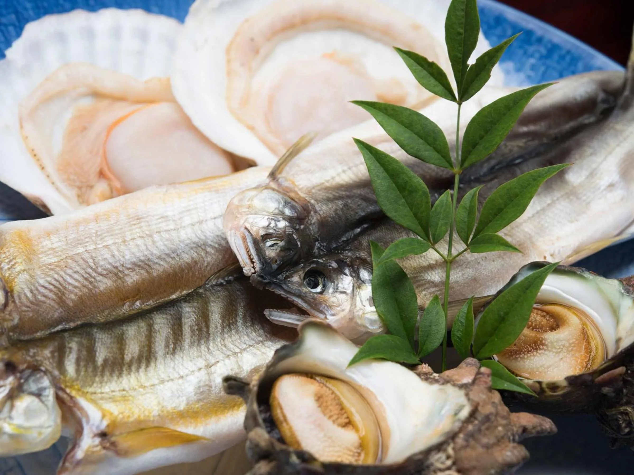 Yokohama Fujiyoshi Izuten