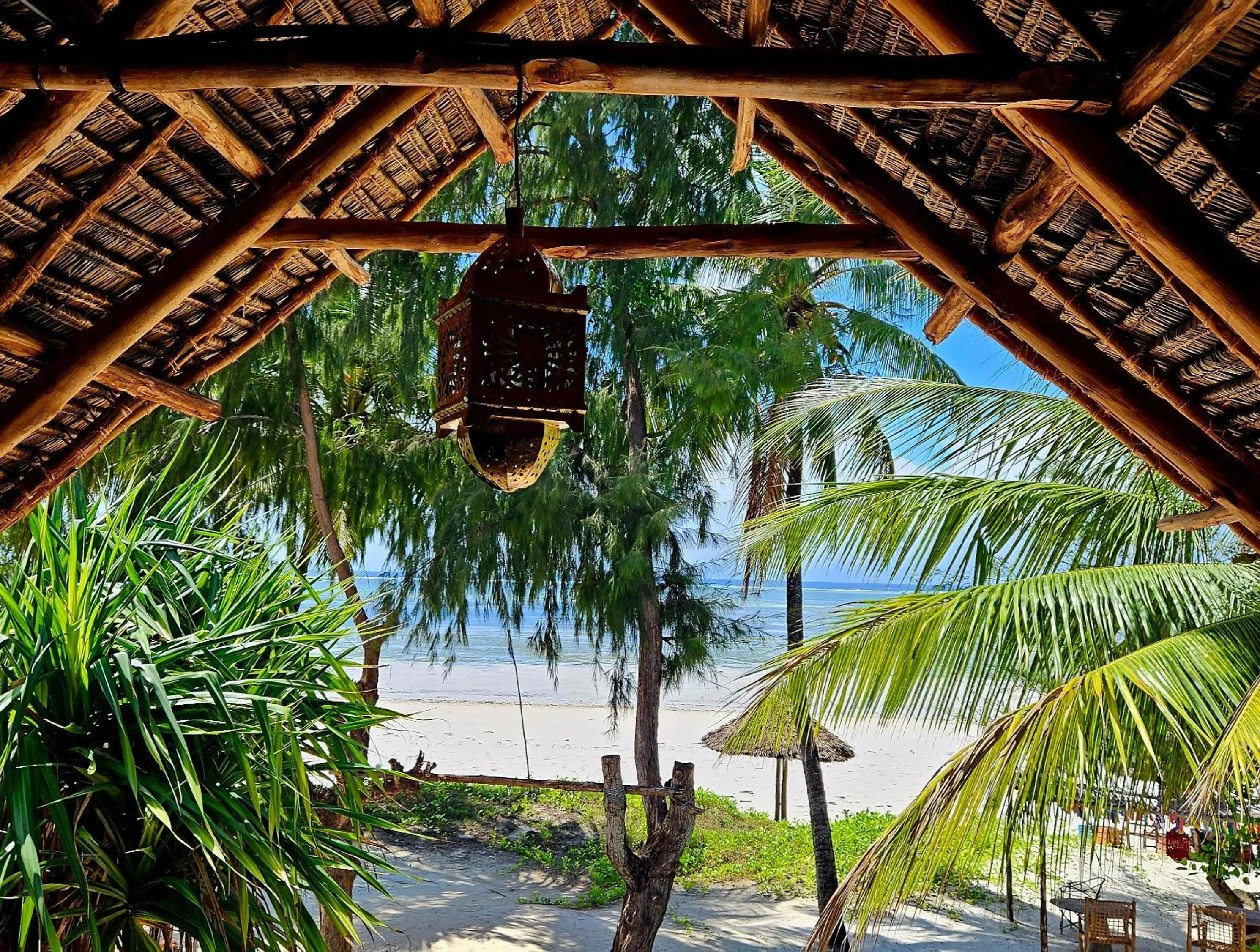 View (from property/room) in Evergreen Bungalows