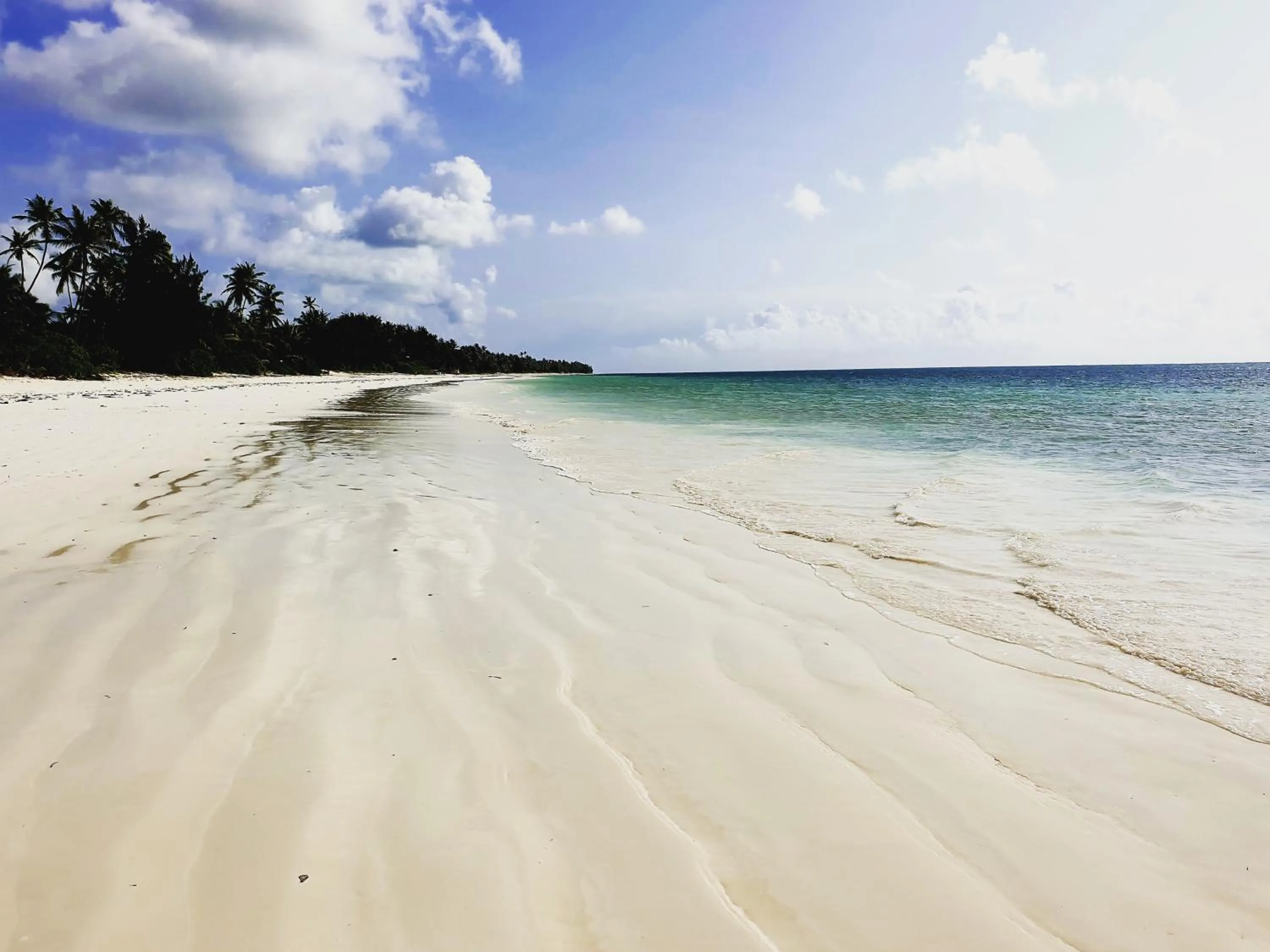 Neighbourhood in Evergreen Bungalows