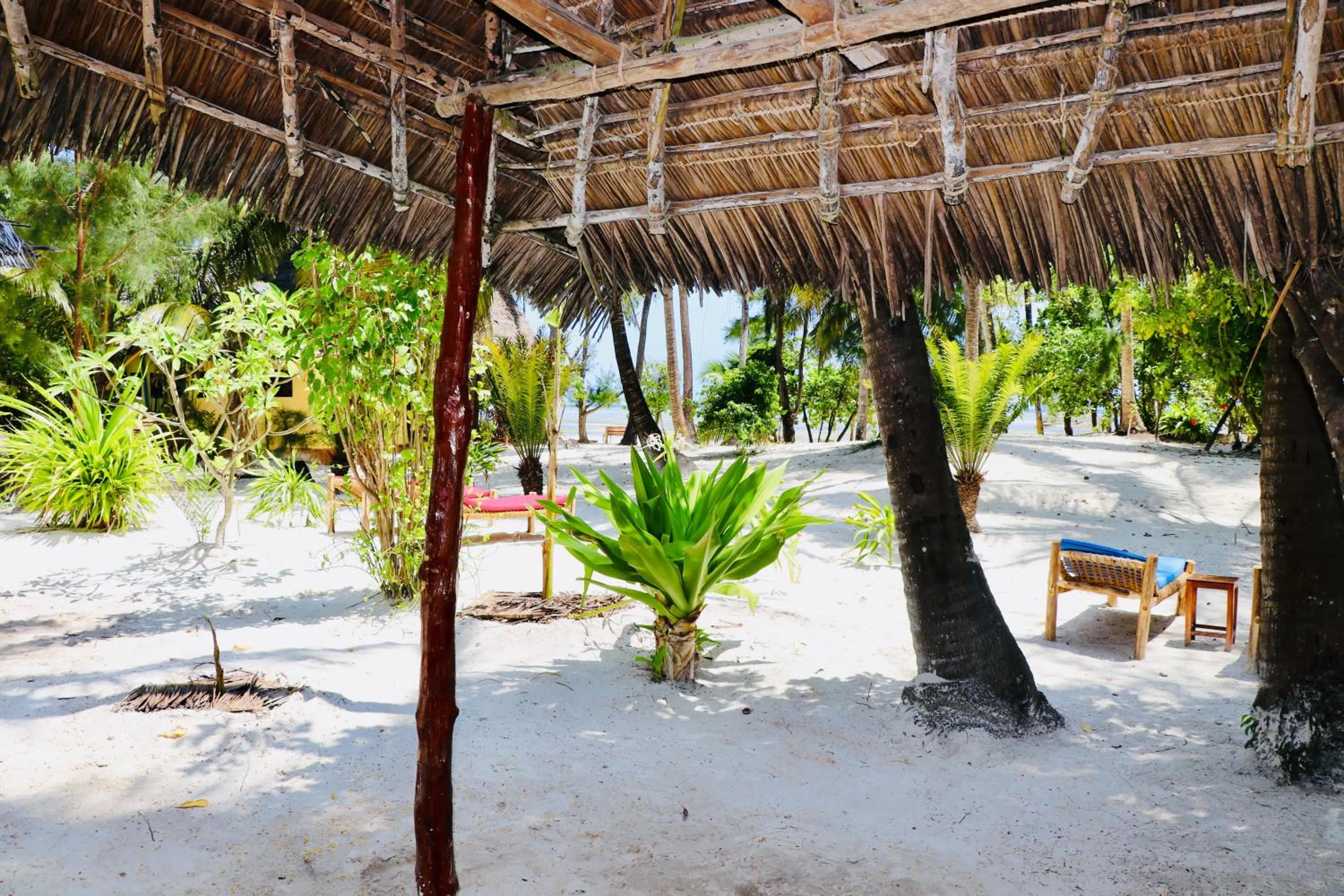 Garden in Evergreen Bungalows