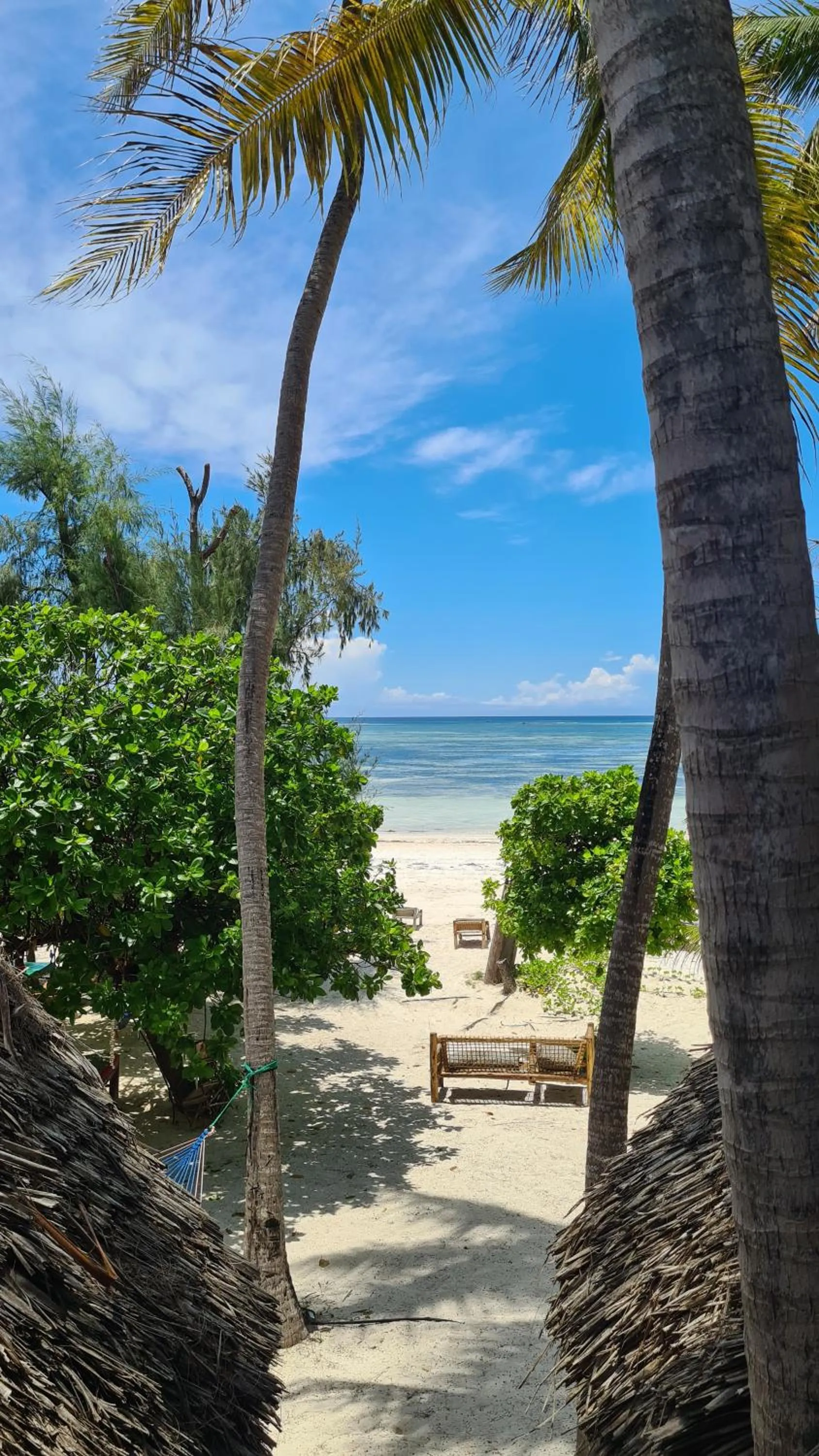 Beach in Evergreen Bungalows