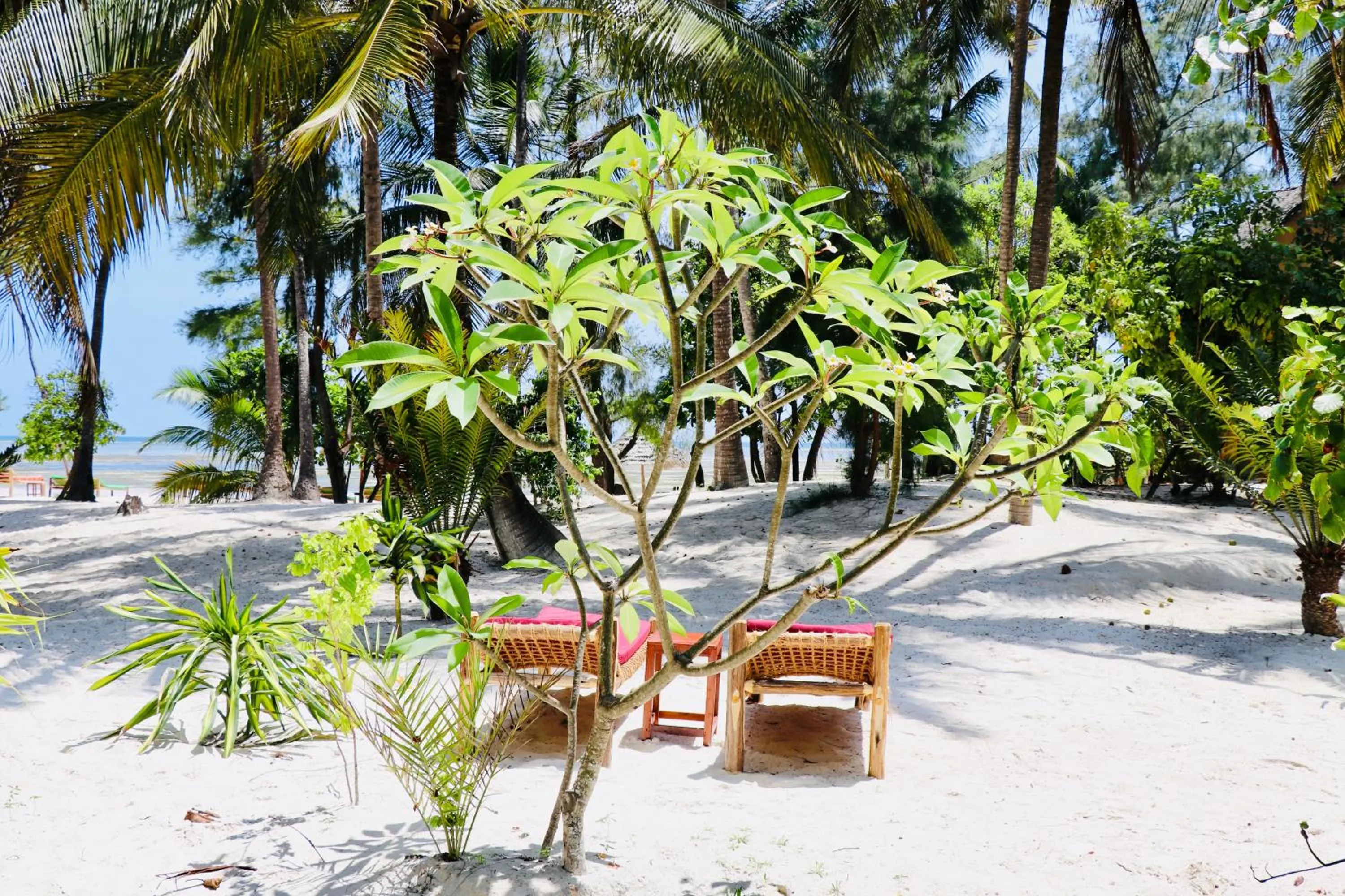 Garden in Evergreen Bungalows
