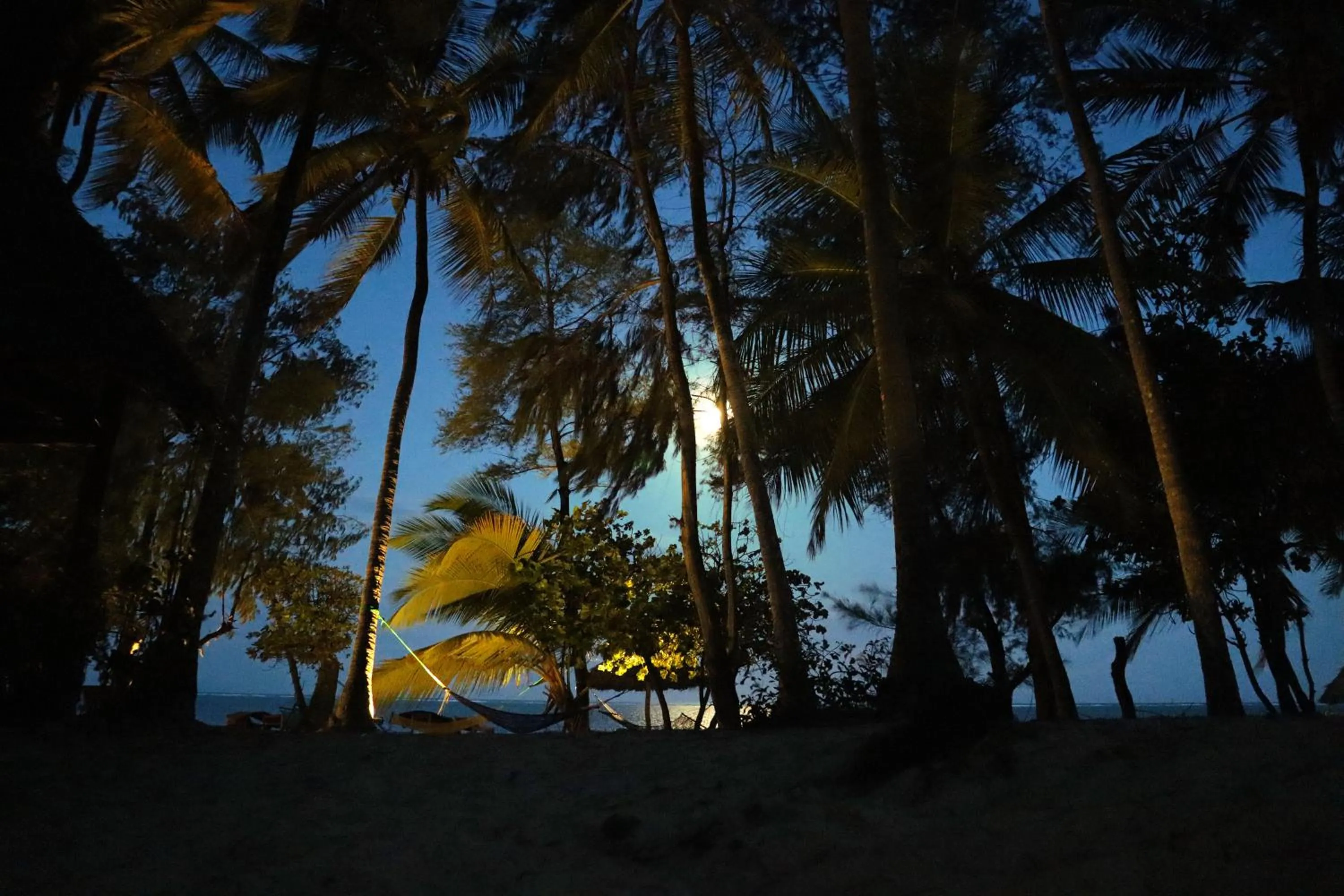 Natural landscape in Evergreen Bungalows