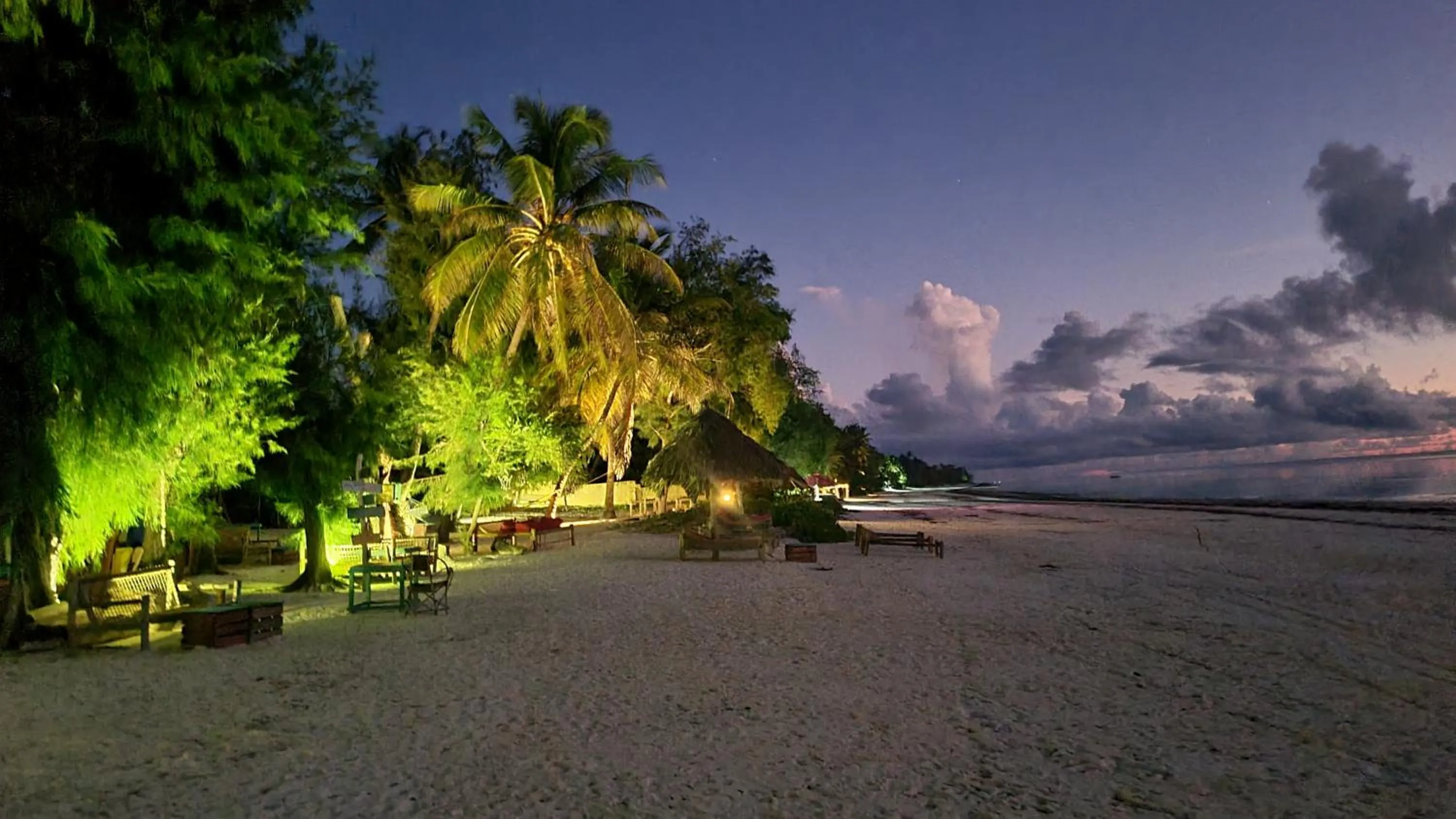 Night in Evergreen Bungalows